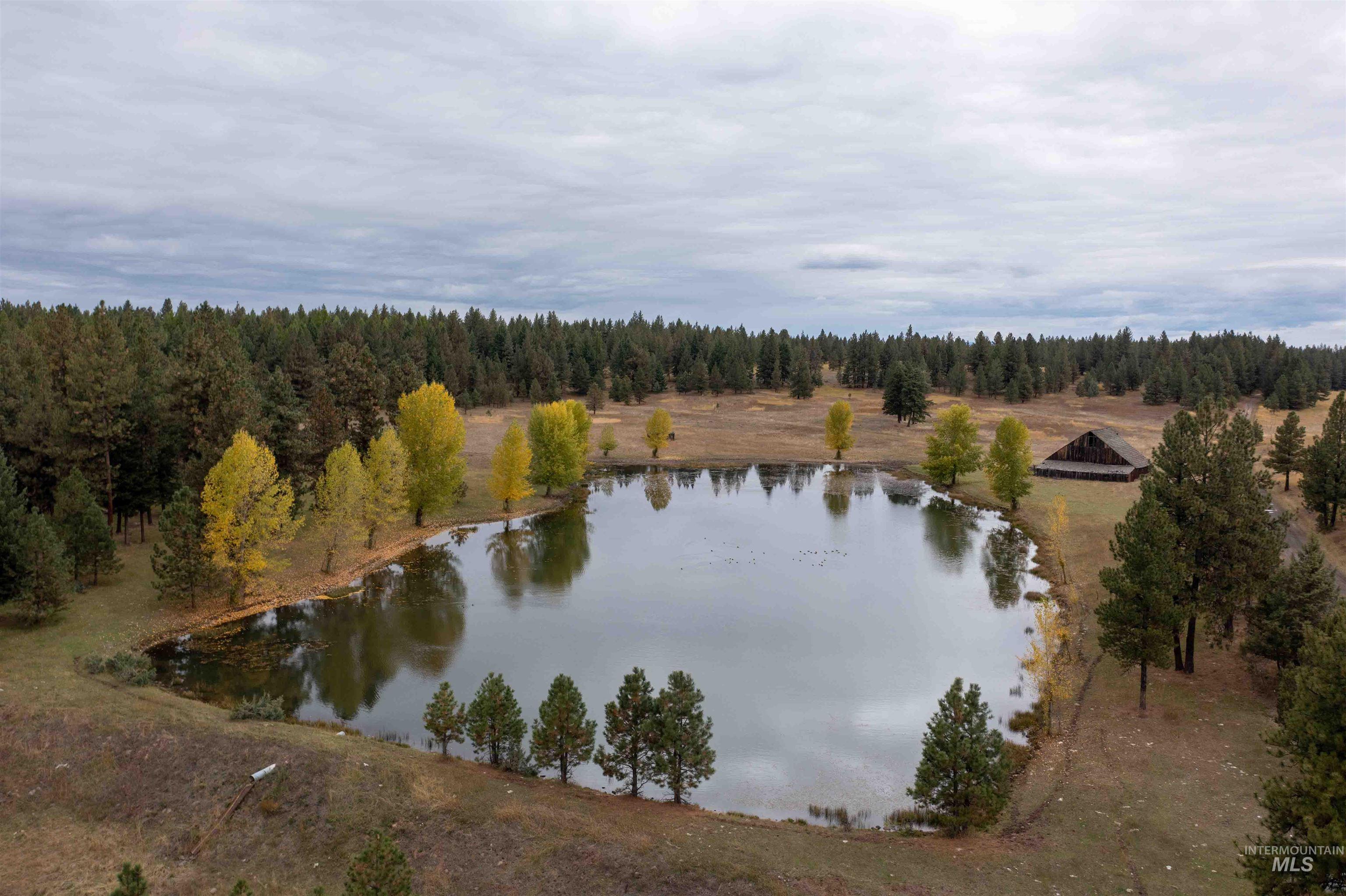 84658 Troy Rd., Wallowa, Oregon 97885, 3 Bedrooms, 2 Bathrooms, Farm & Ranch For Sale, Price $19,800,000, 98932366