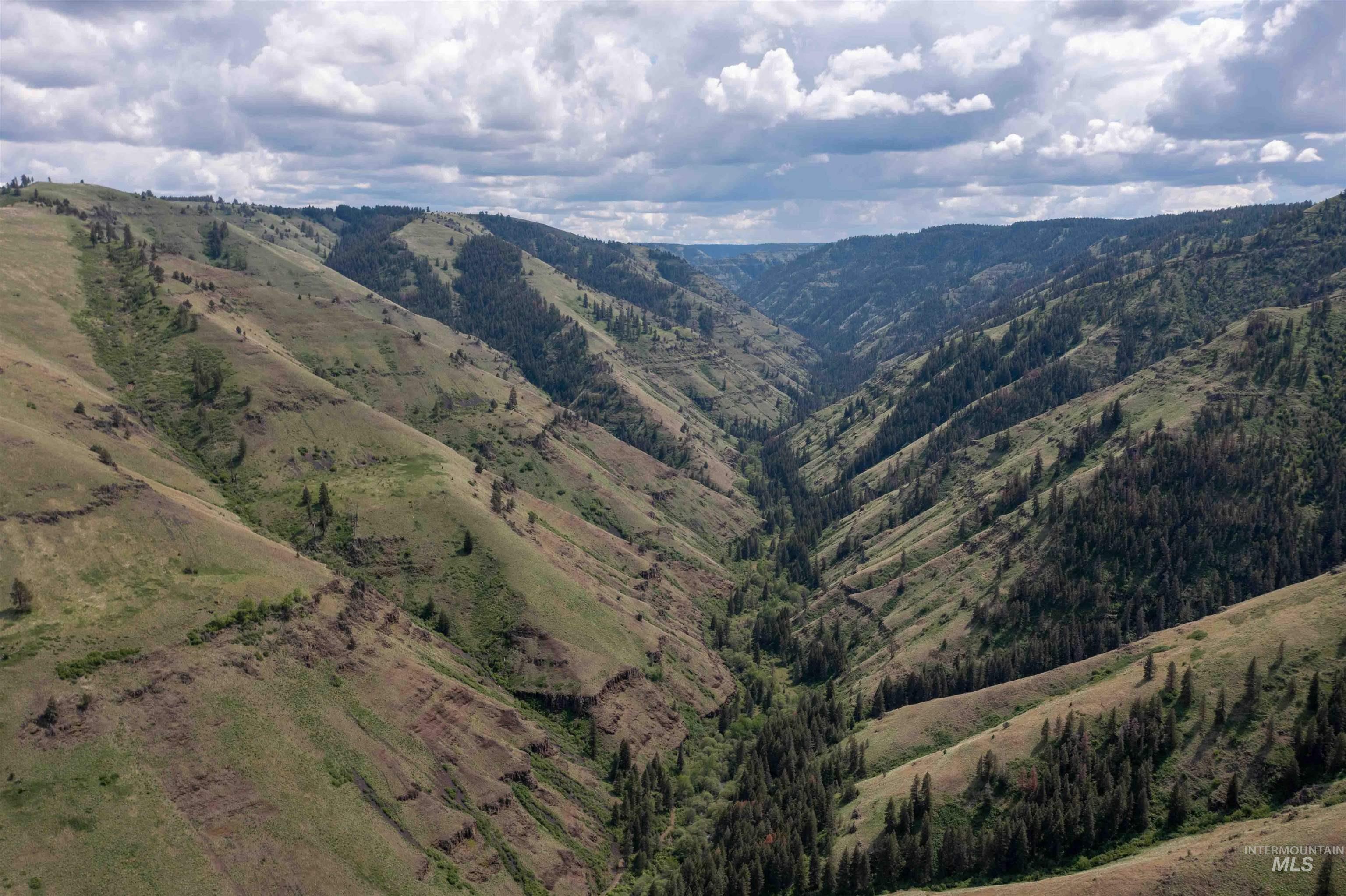 84658 Troy Rd., Wallowa, Oregon 97885, 3 Bedrooms, 2 Bathrooms, Farm & Ranch For Sale, Price $19,800,000, 98932366