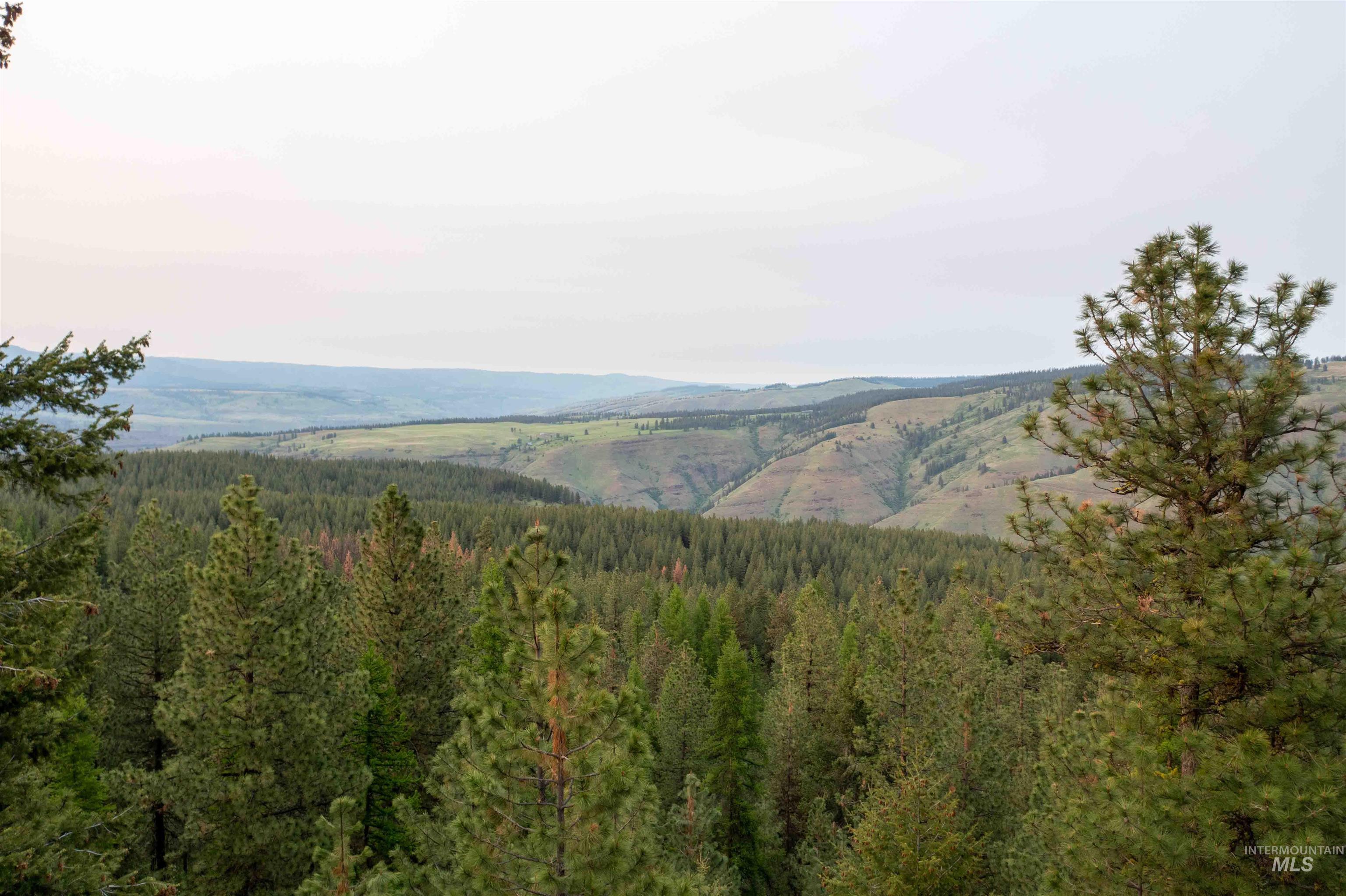 84658 Troy Rd., Wallowa, Oregon 97885, 3 Bedrooms, 2 Bathrooms, Farm & Ranch For Sale, Price $19,800,000, 98932366