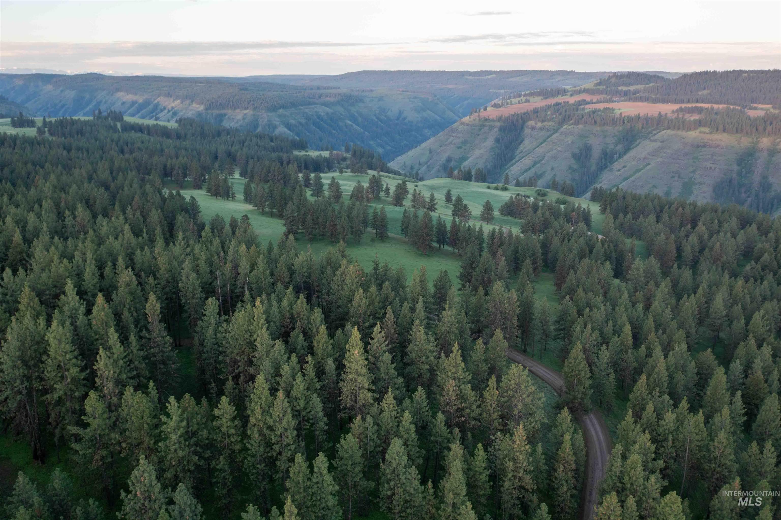 84658 Troy Rd., Wallowa, Oregon 97885, 3 Bedrooms, 2 Bathrooms, Farm & Ranch For Sale, Price $19,800,000, 98932366