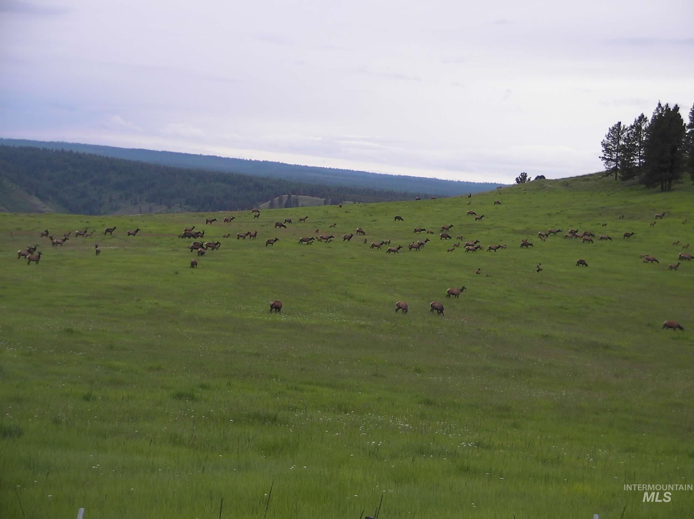 84658 Troy Rd., Wallowa, Oregon 97885, 3 Bedrooms, 2 Bathrooms, Farm & Ranch For Sale, Price $19,800,000, 98932366
