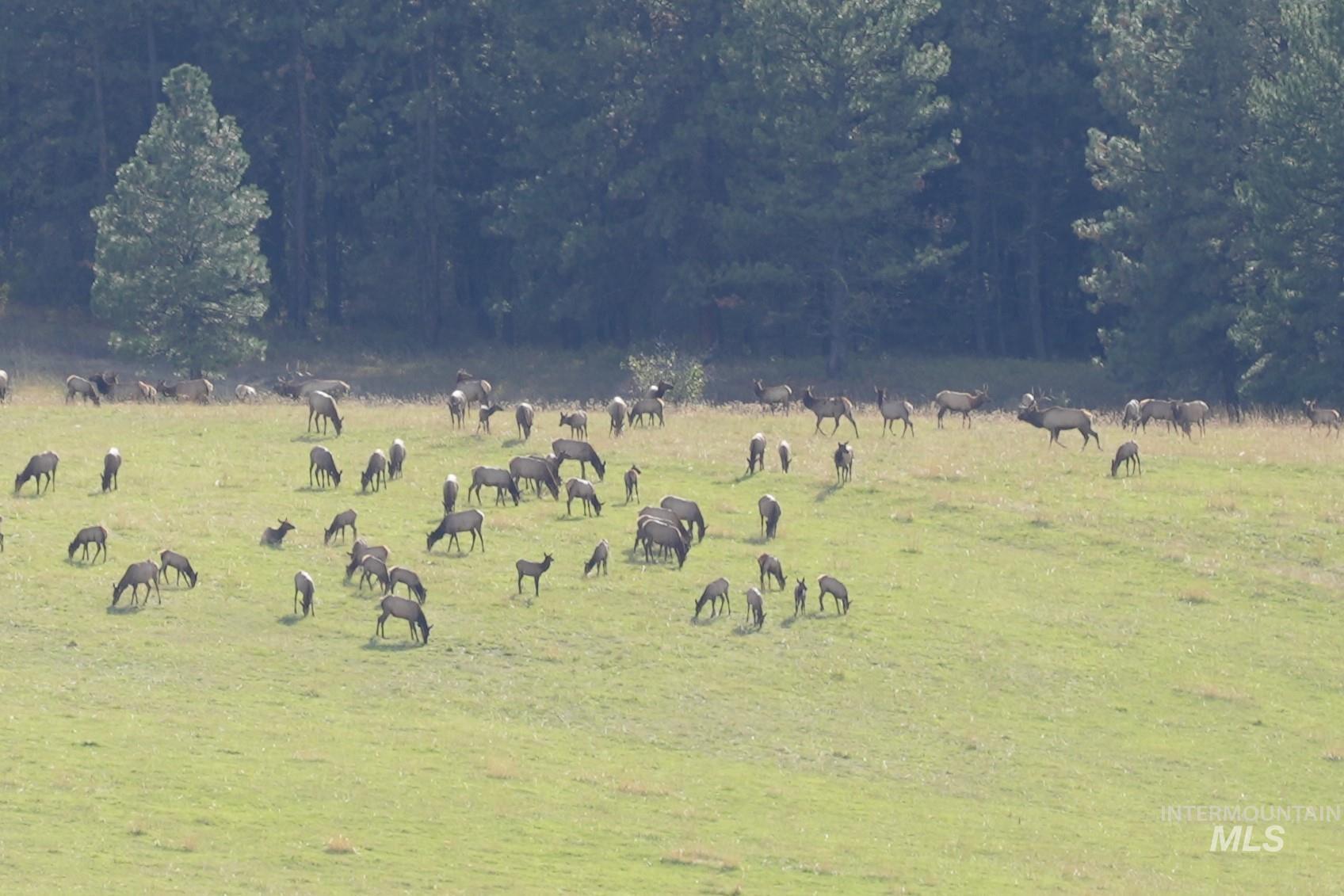 84658 Troy Rd., Wallowa, Oregon 97885, 3 Bedrooms, 2 Bathrooms, Farm & Ranch For Sale, Price $19,800,000, 98932366