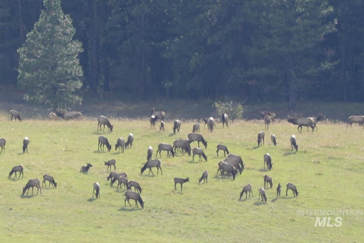 84658 Troy Rd., Wallowa, Oregon 97885, 3 Bedrooms, 2 Bathrooms, Farm & Ranch For Sale, Price $19,800,000, 98932366