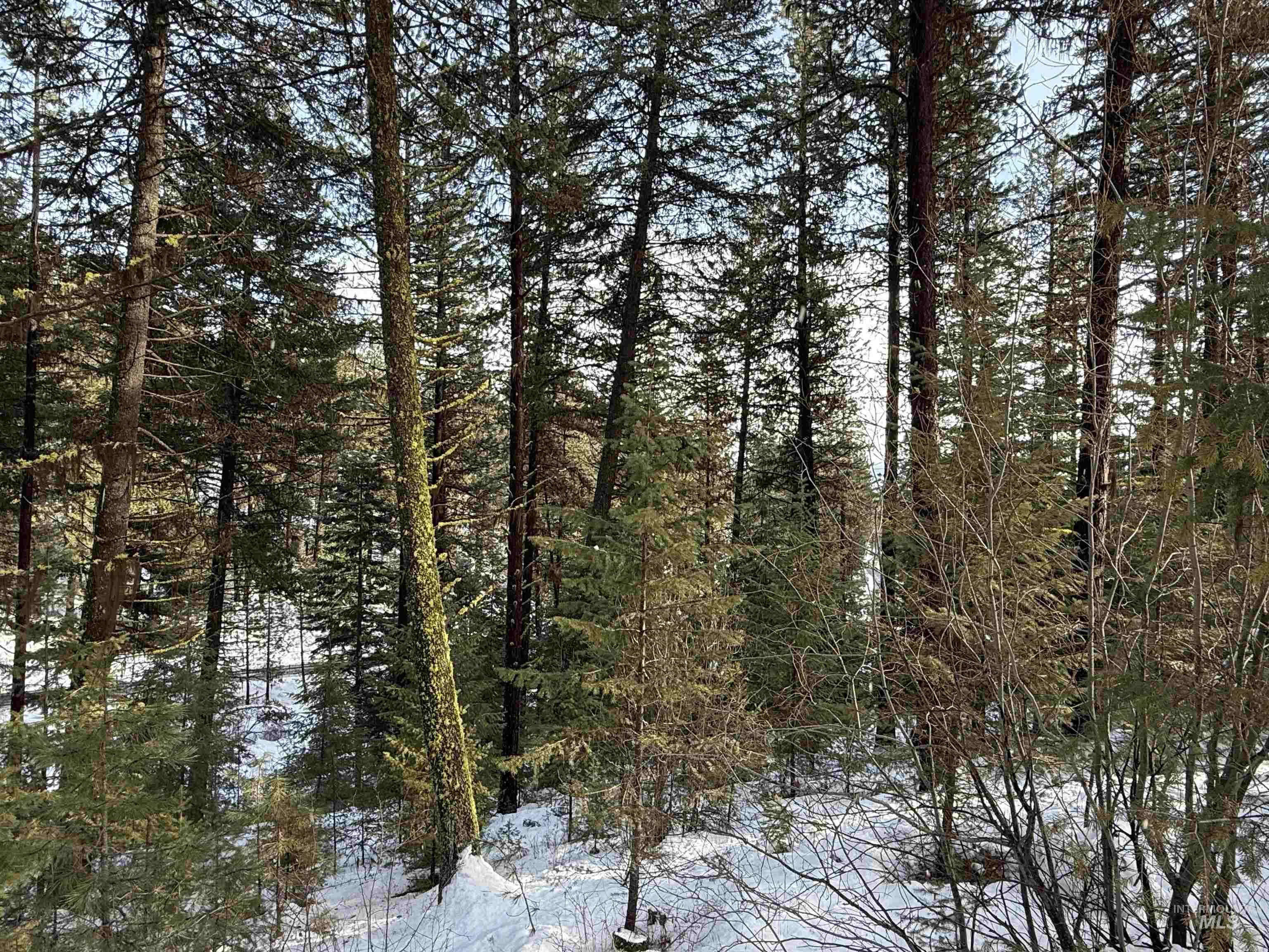 Lot 2 Yampa Court, New Meadows, Idaho 83654, Land For Sale, Price $85,000,MLS 98932369