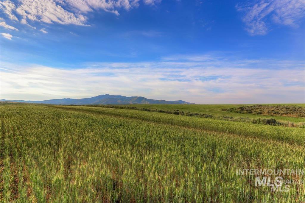 TBD Heavenly Lane, Lot 8, Prairie, Idaho 83647, Land For Sale, Price $265,000,MLS 98932453