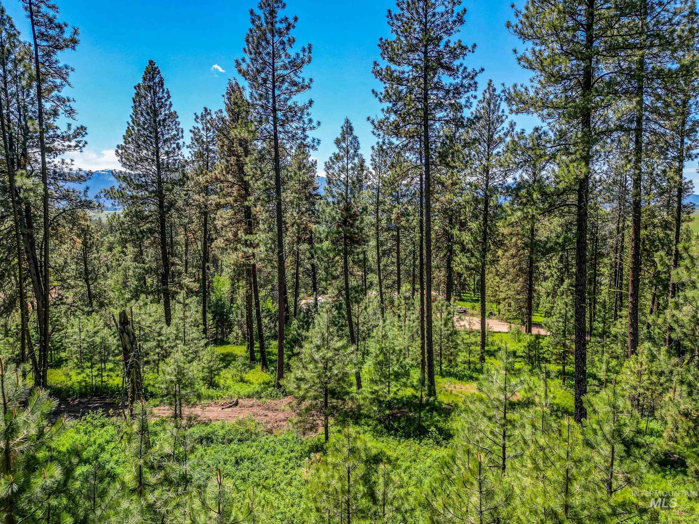 Lot 2 Hideout Road, Donnelly, Idaho 83615, Land For Sale, Price $275,000,MLS 98932950