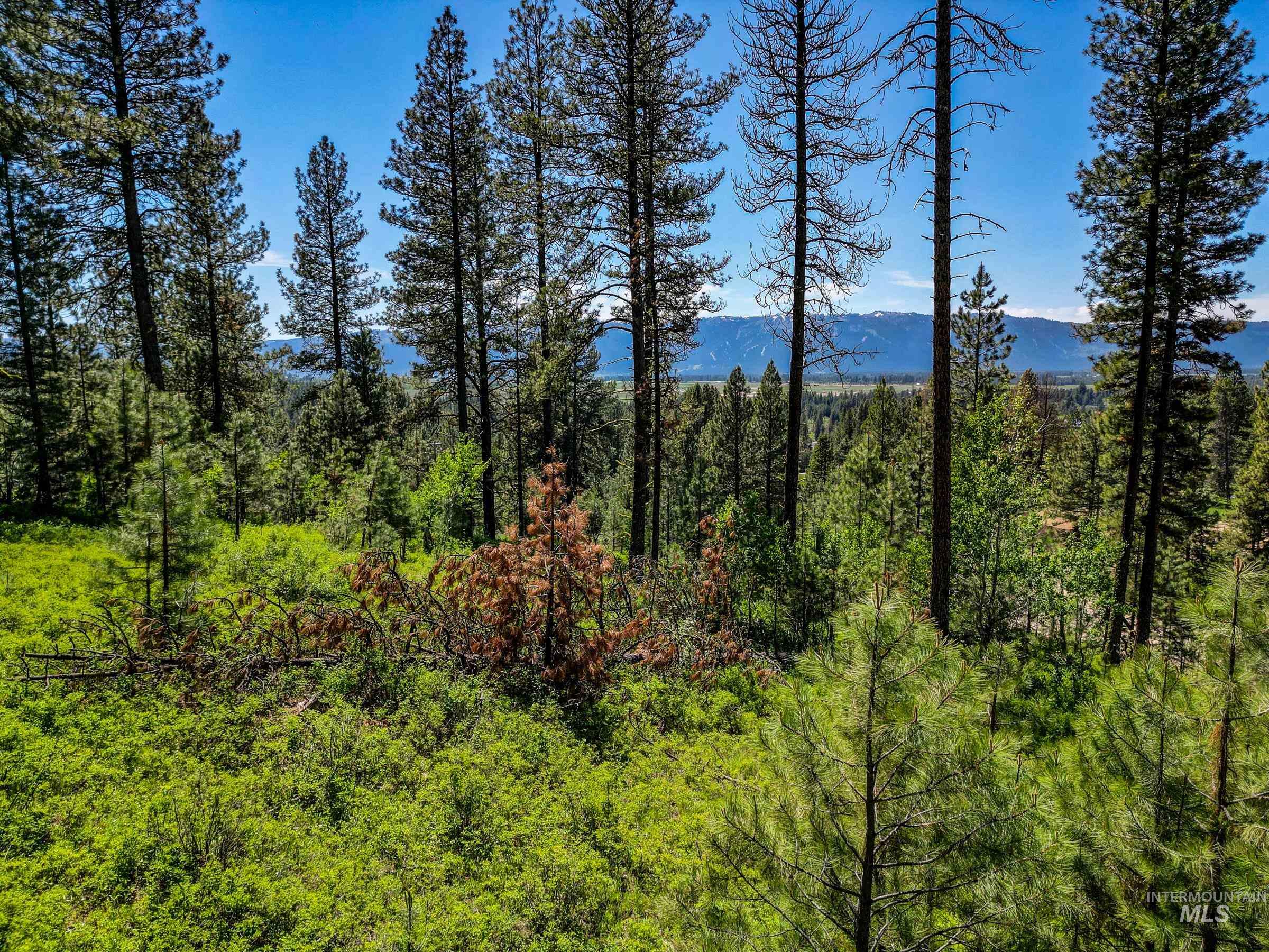 Lot 3 Hideout Road, Donnelly, Idaho 83615, Land For Sale, Price $225,000,MLS 98932963