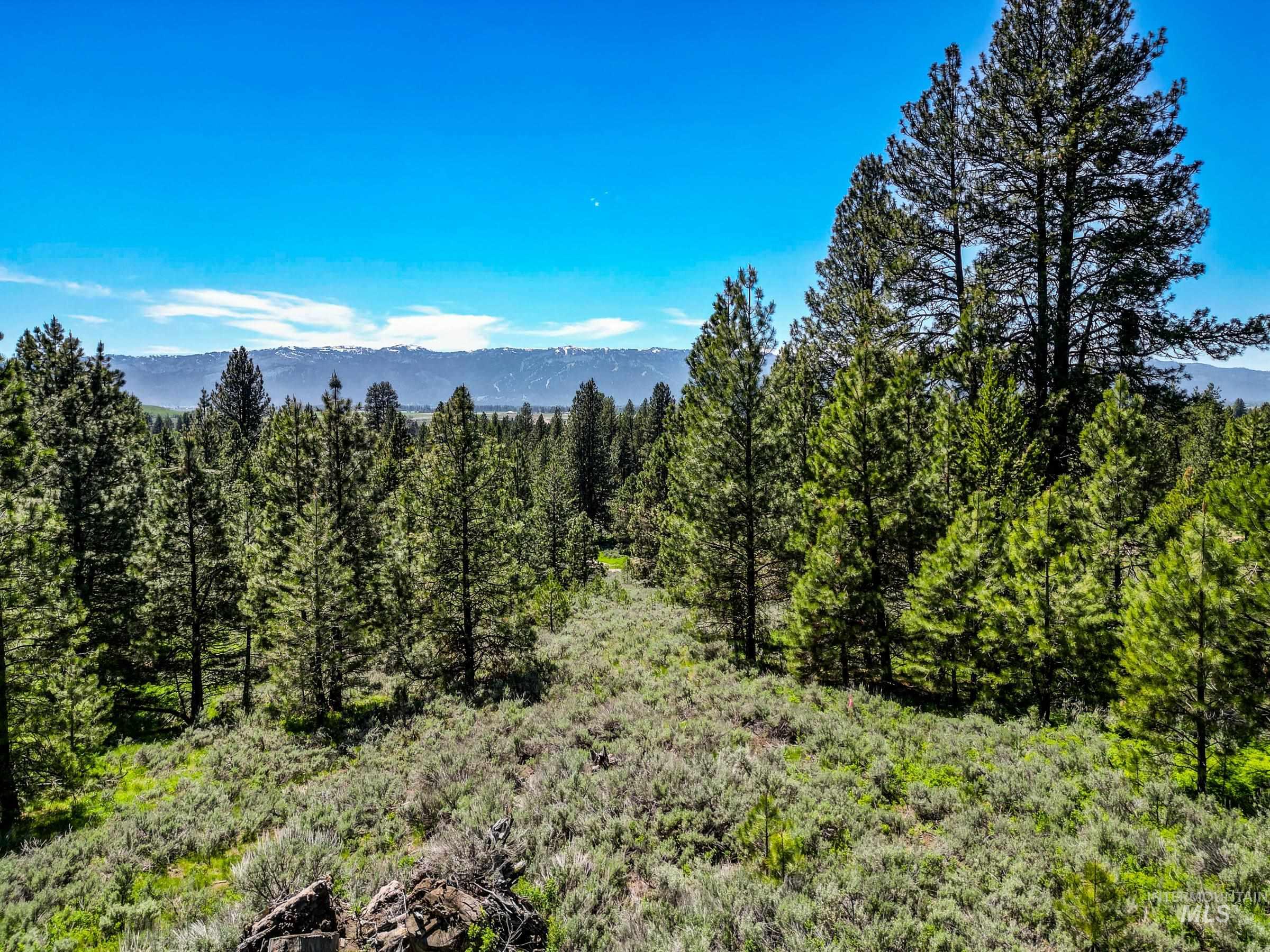 Lot 3 Hideout Road, Donnelly, Idaho 83615, Land For Sale, Price $225,000,MLS 98932963