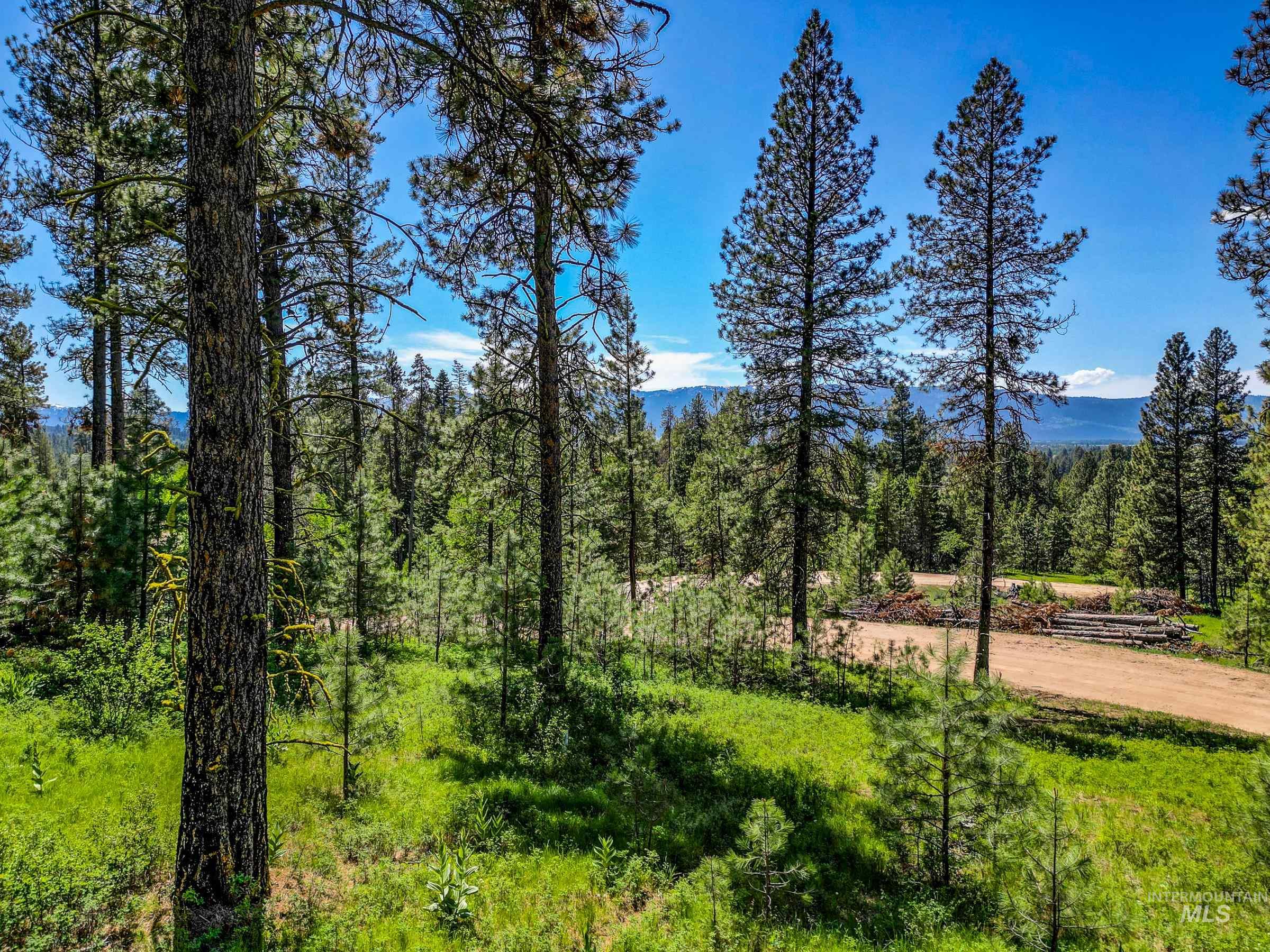 Lot 3 Hideout Road, Donnelly, Idaho 83615, Land For Sale, Price $225,000,MLS 98932963