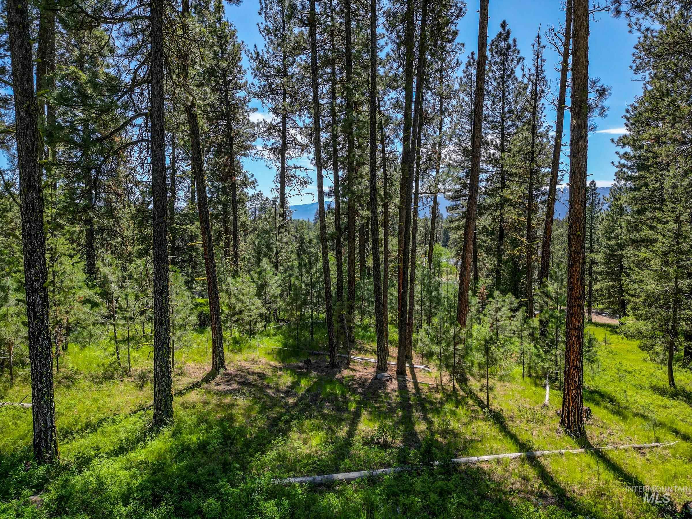 Lot 4 Hideout Road, Donnelly, Idaho 83615, Land For Sale, Price $400,000,MLS 98932964