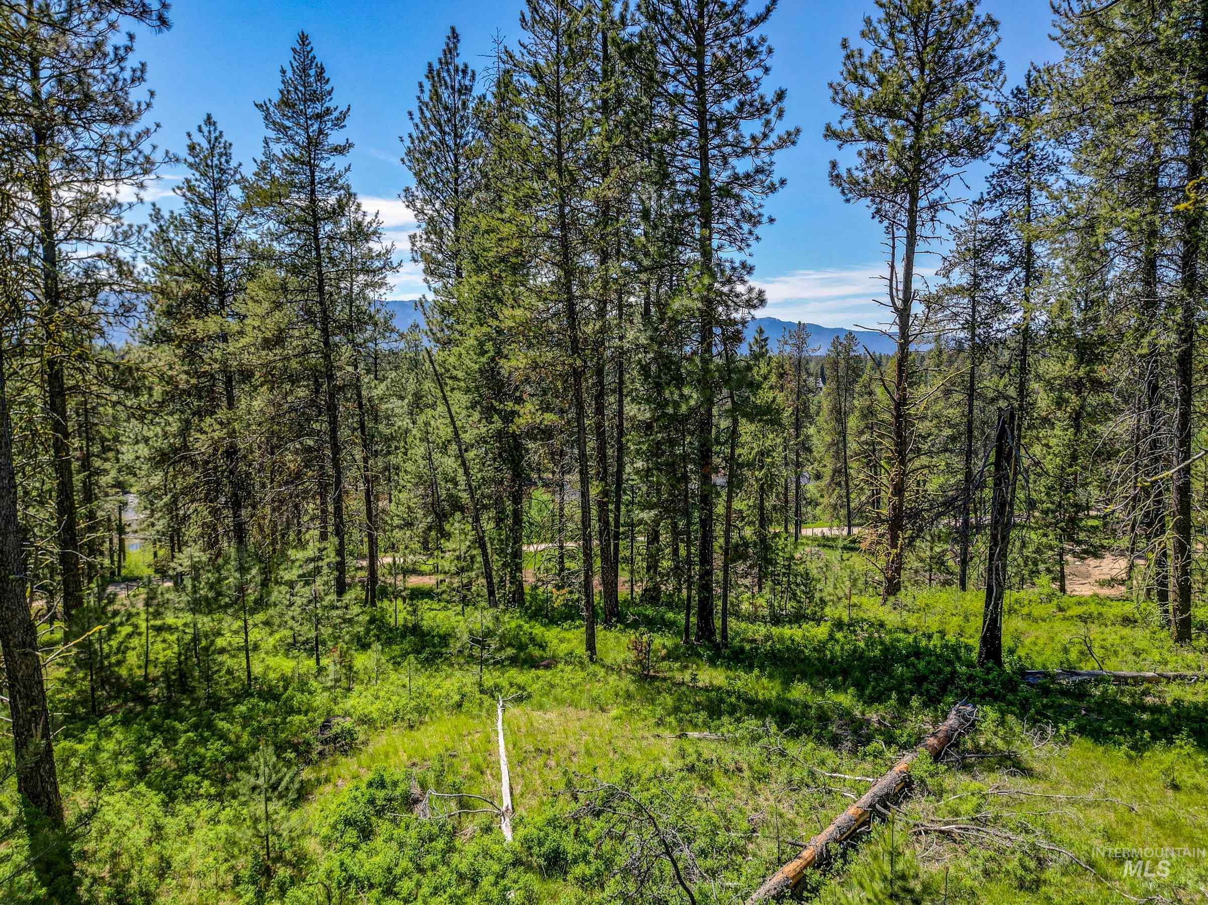 Lot 6 Hideout Drive, Donnelly, Idaho 83615, Land For Sale, Price $450,000,MLS 98933005