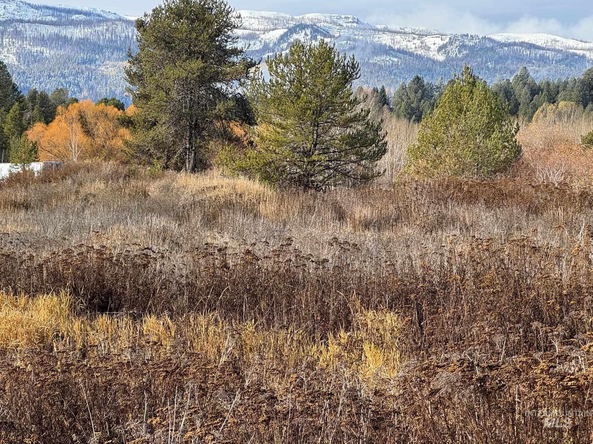 Sawyer Street, Cascade, Idaho 83611, Land For Sale, Price $394,500,MLS 98933073