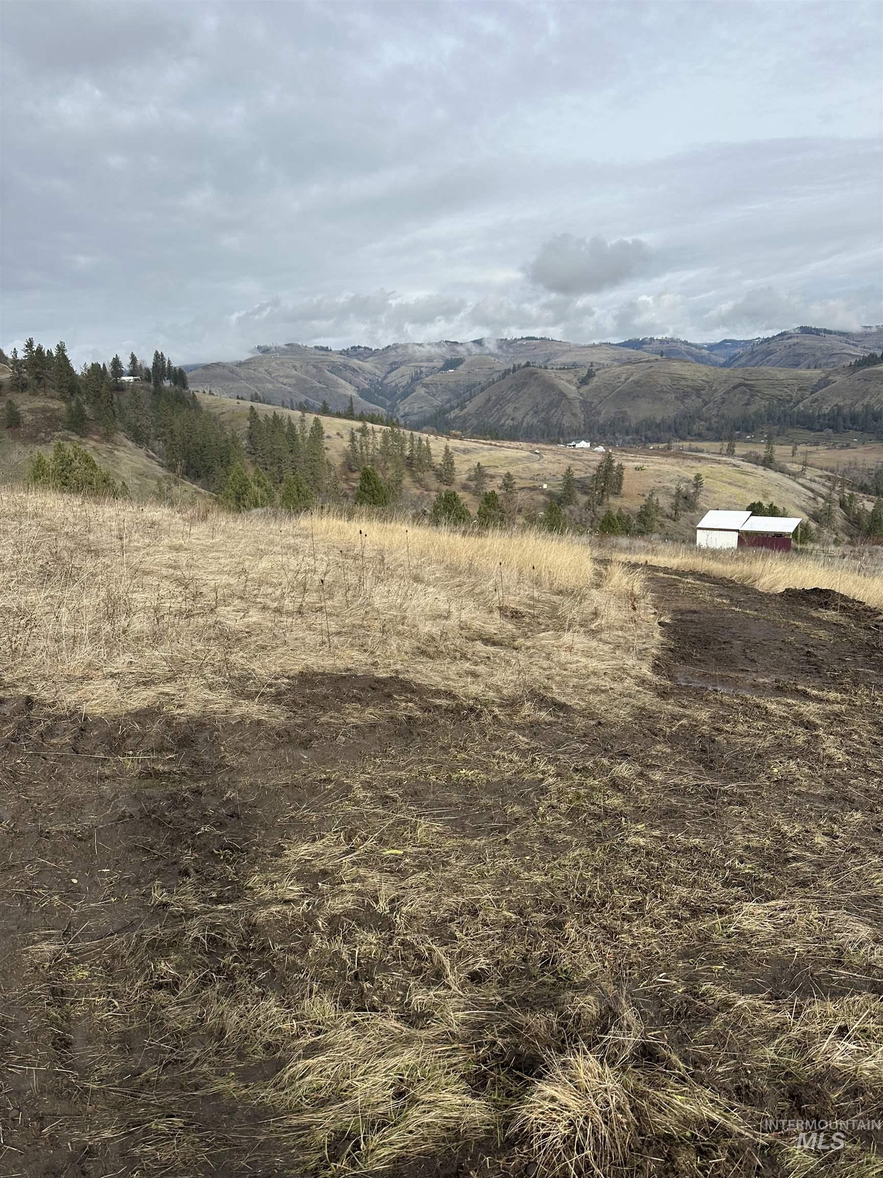 TBD Canyon Dr, Kooskia, Idaho 83539, Land For Sale, Price $99,000,MLS 98933173