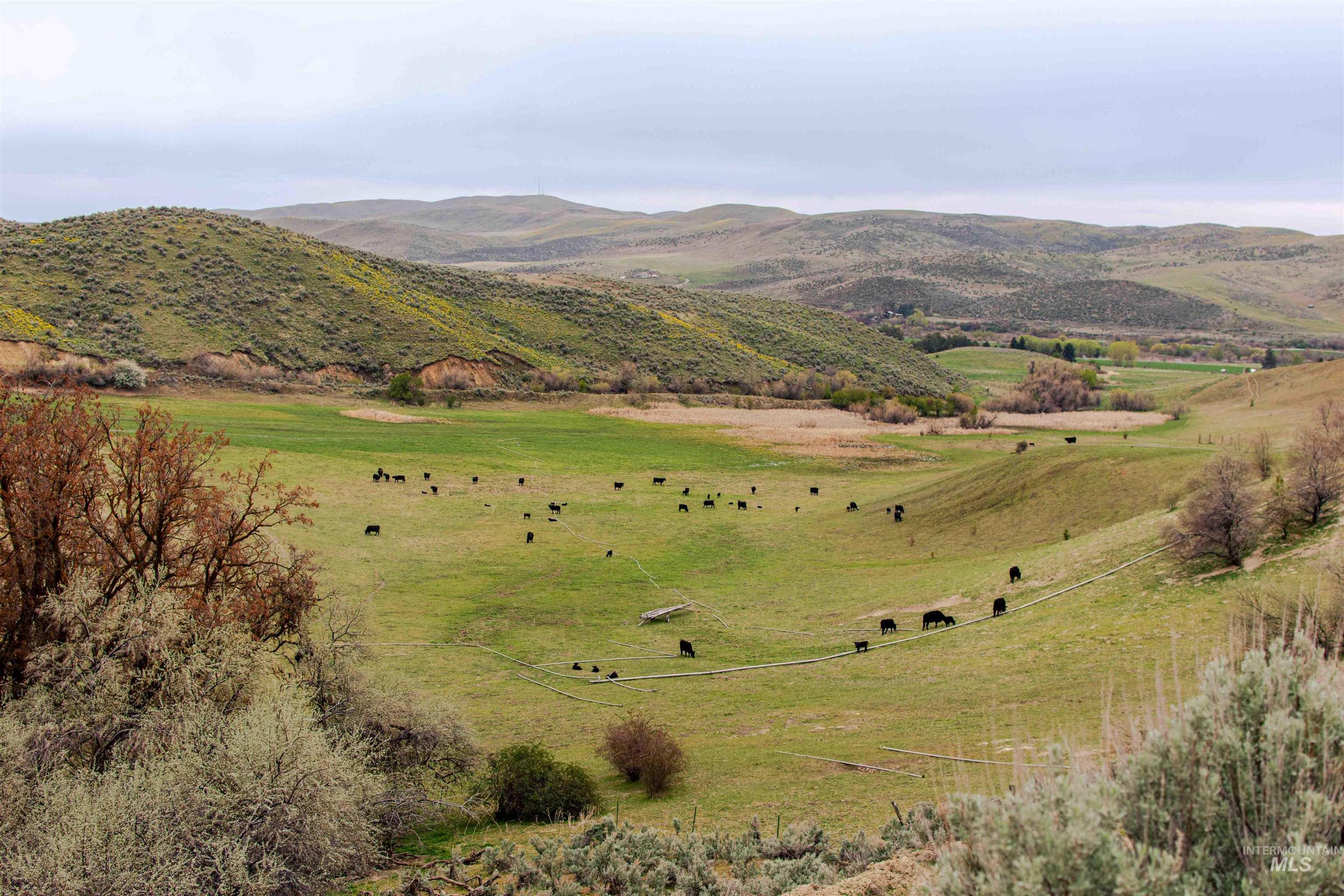 1836 Cemetery Rd, Weiser, Idaho 83672, Farm & Ranch For Sale, Price $2,700,000, 98933232