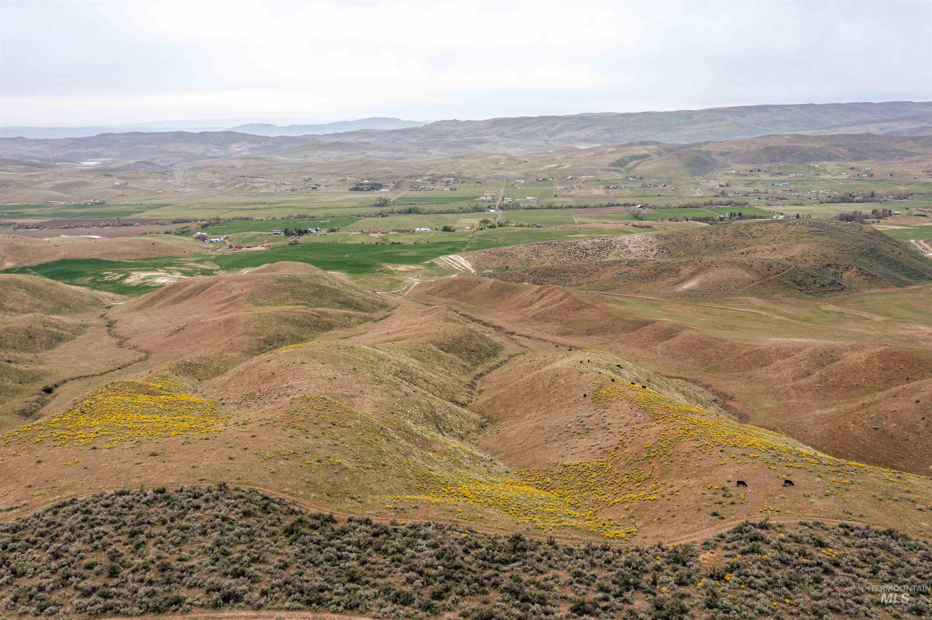 1836 Cemetery Rd, Weiser, Idaho 83672, Farm & Ranch For Sale, Price $2,700,000, 98933232