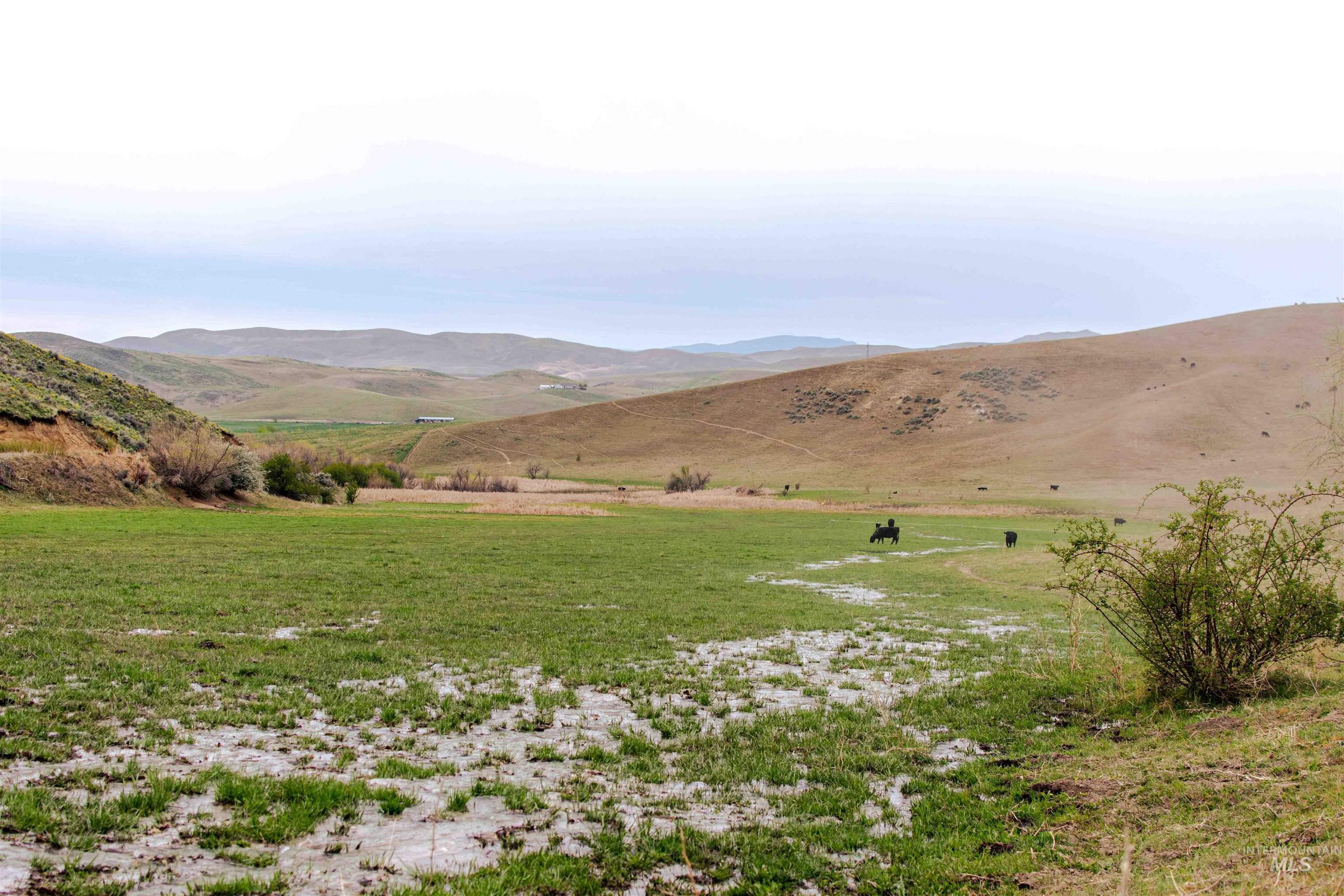 1836 Cemetery Rd, Weiser, Idaho 83672, Farm & Ranch For Sale, Price $2,700,000, 98933232