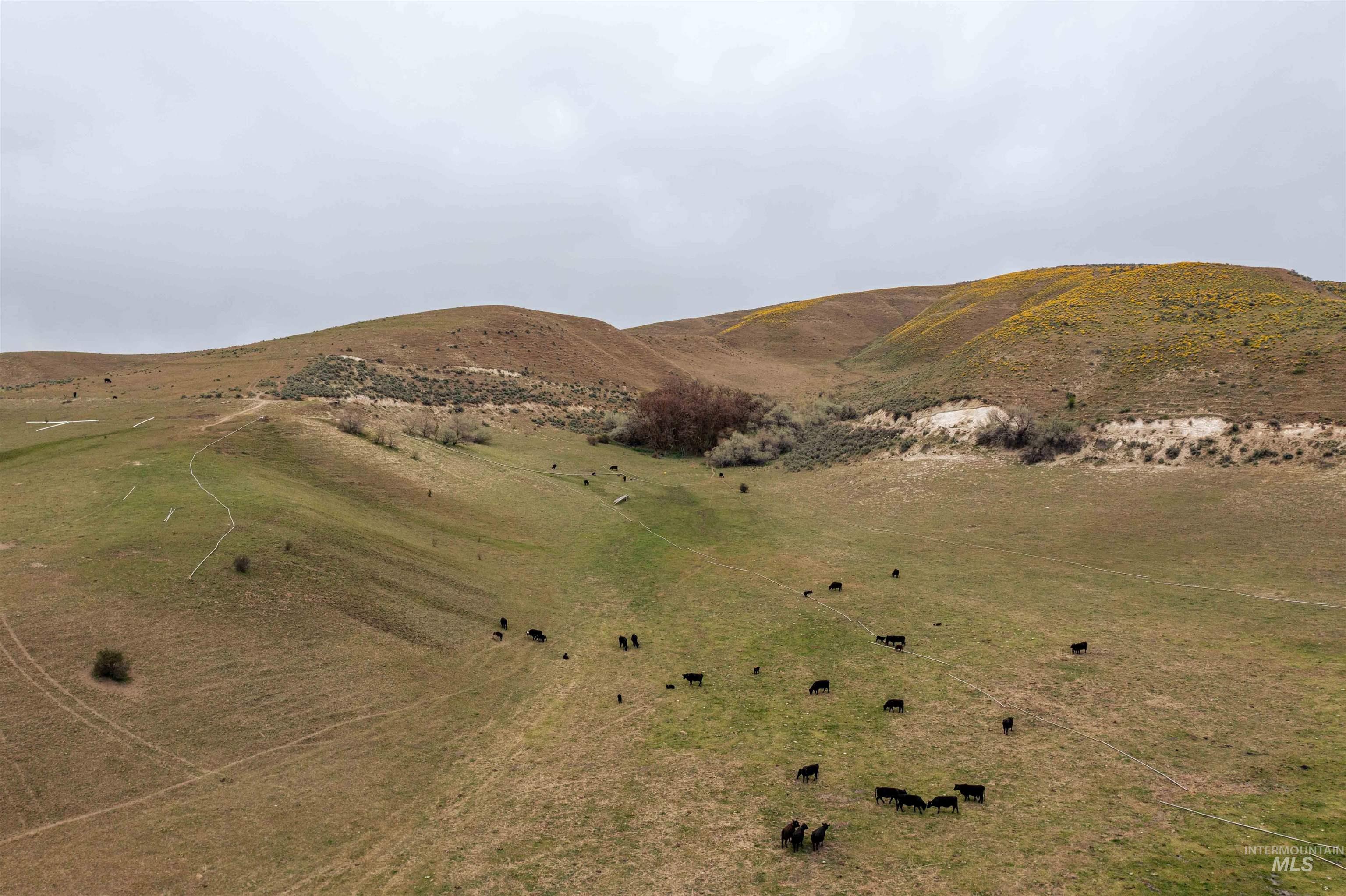 1836 Cemetery Rd, Weiser, Idaho 83672, Farm & Ranch For Sale, Price $2,700,000, 98933232