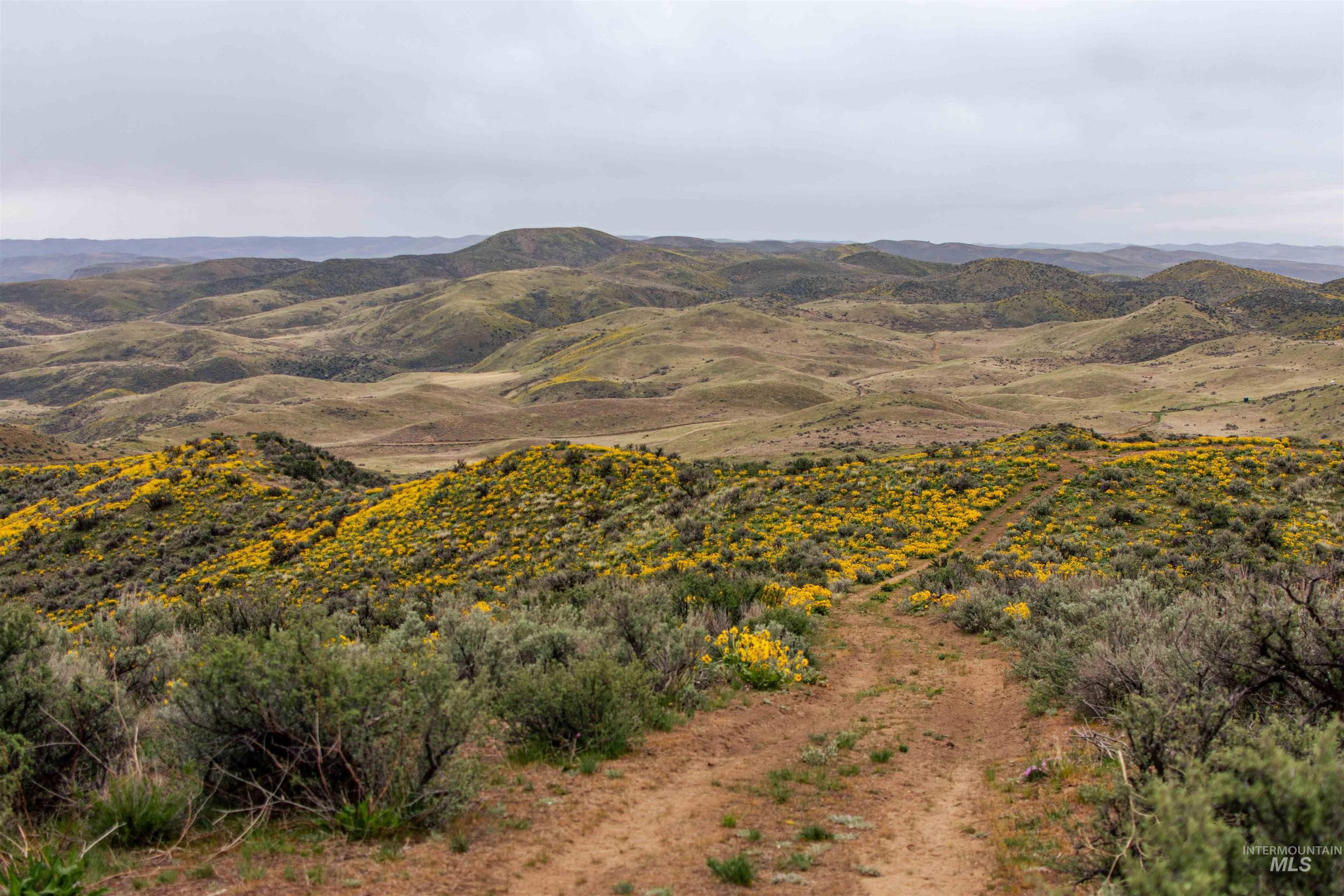 1836 Cemetery Rd, Weiser, Idaho 83672, Farm & Ranch For Sale, Price $2,700,000, 98933232