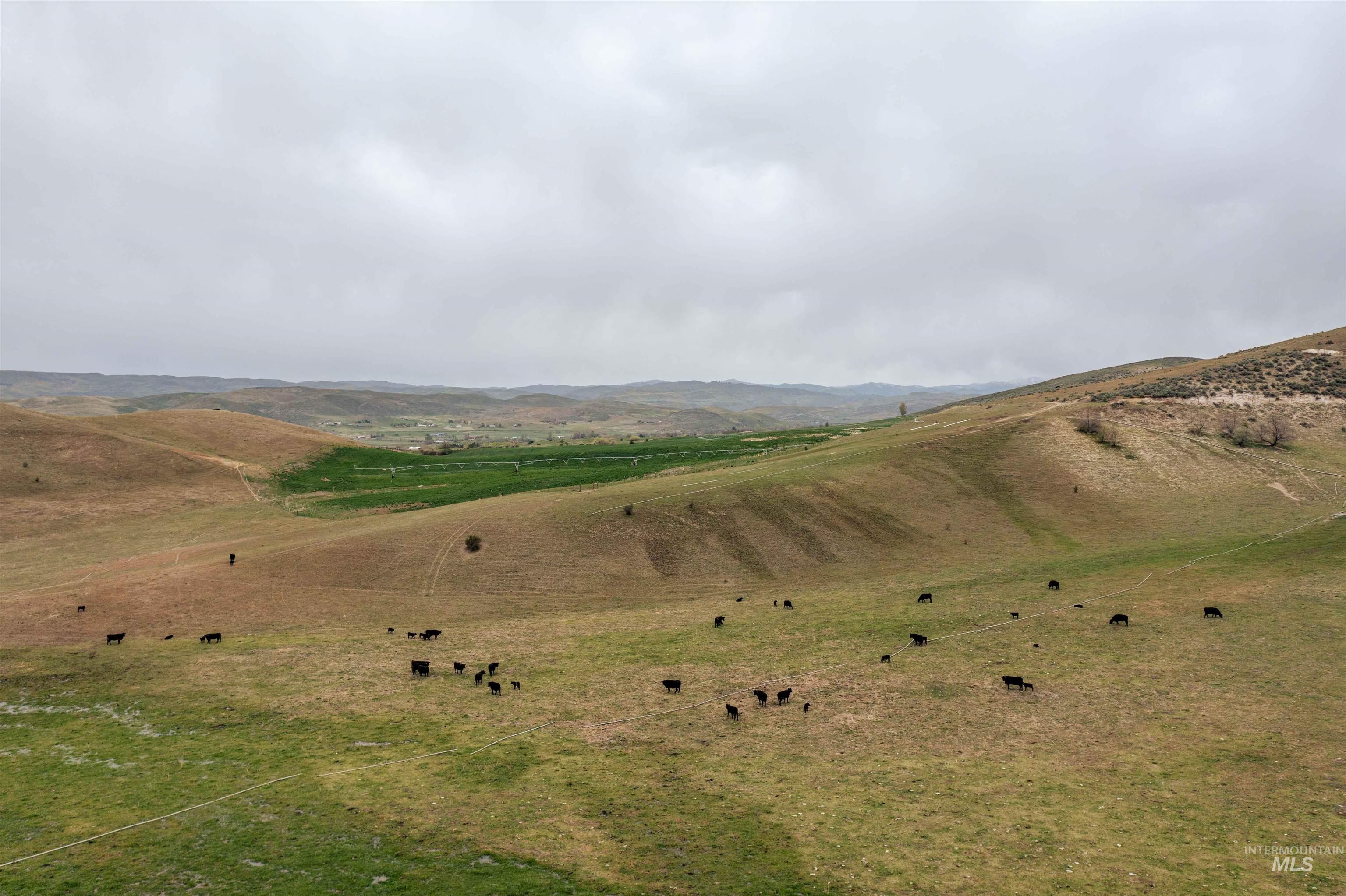 1836 Cemetery Rd, Weiser, Idaho 83672, Farm & Ranch For Sale, Price $2,700,000, 98933232