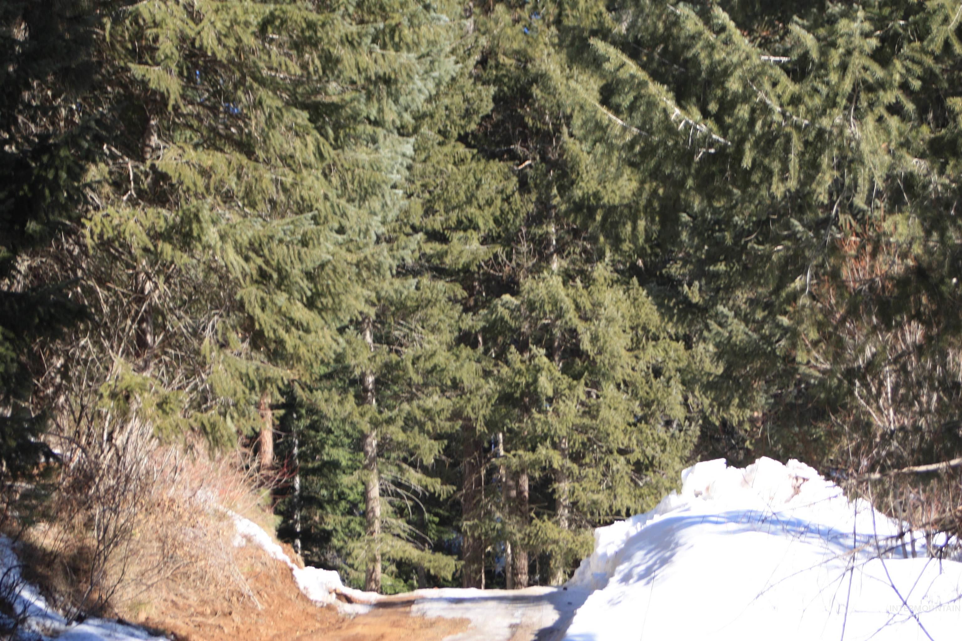 3191 Highway 95, Council, Idaho 83612, 3 Bedrooms, 2 Bathrooms, Residential For Sale, Price $399,000, 98934807