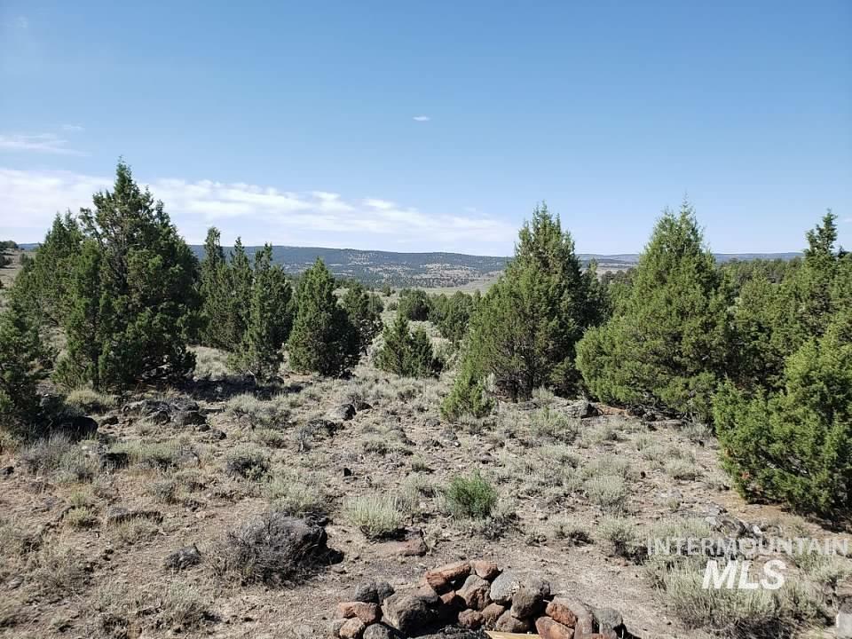 Tract 44 Triangle Ranch, Murphy, Idaho 83650, Land For Sale, Price $145,000, 98935301