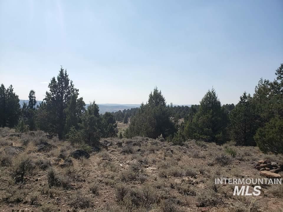 Tract 44 Triangle Ranch, Murphy, Idaho 83650, Land For Sale, Price $145,000, 98935301