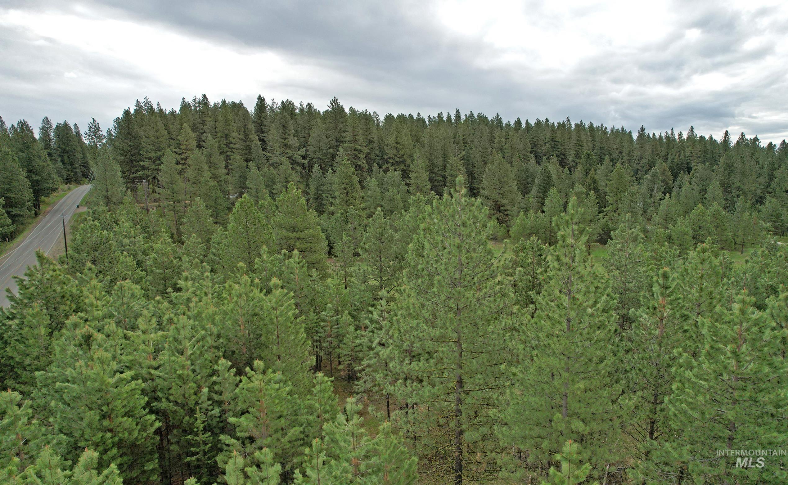 TBD 2 Elo Road, McCall, Idaho 83638, Land For Sale, Price $325,000, 98935491