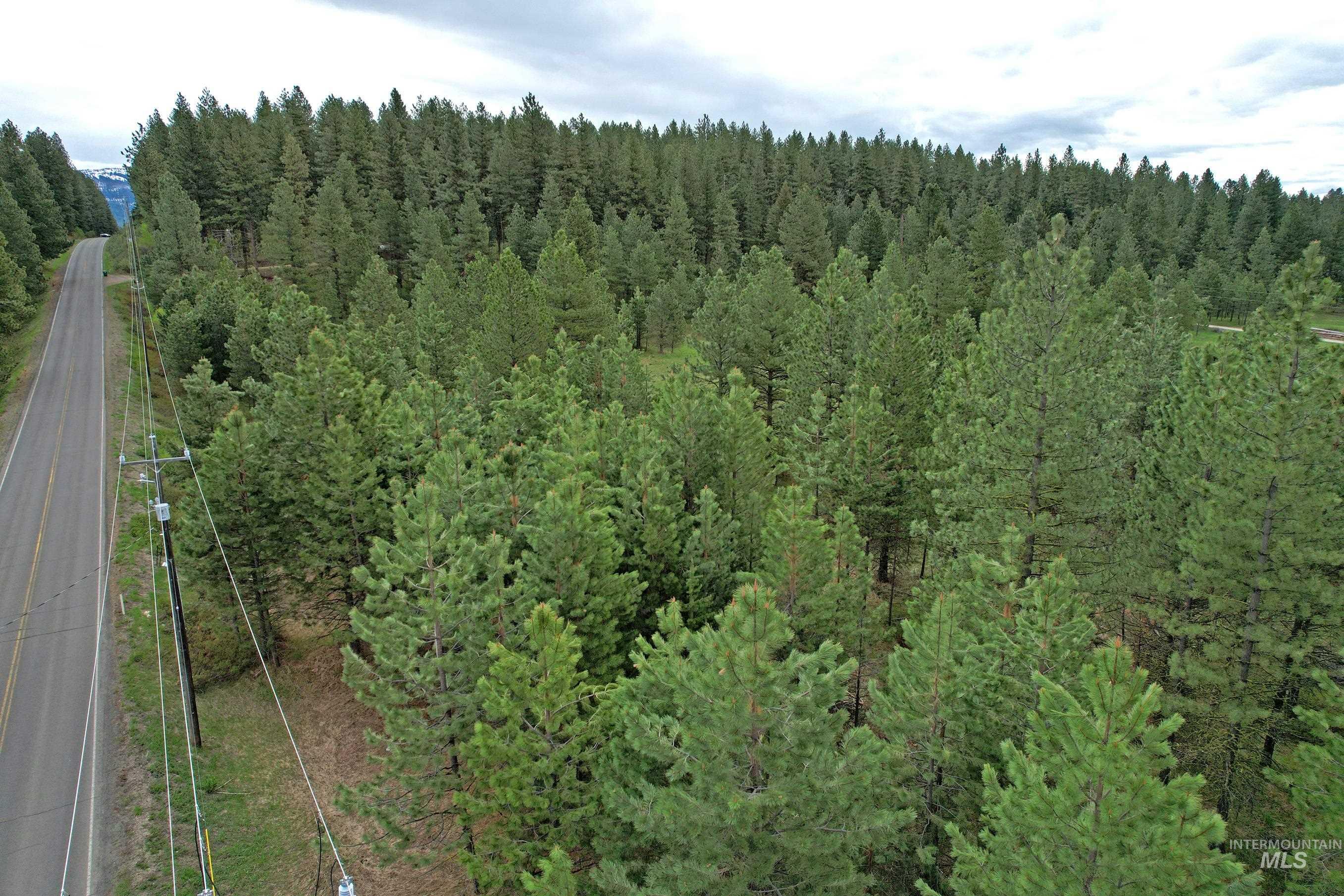 TBD 2 Elo Road, McCall, Idaho 83638, Land For Sale, Price $325,000, 98935491