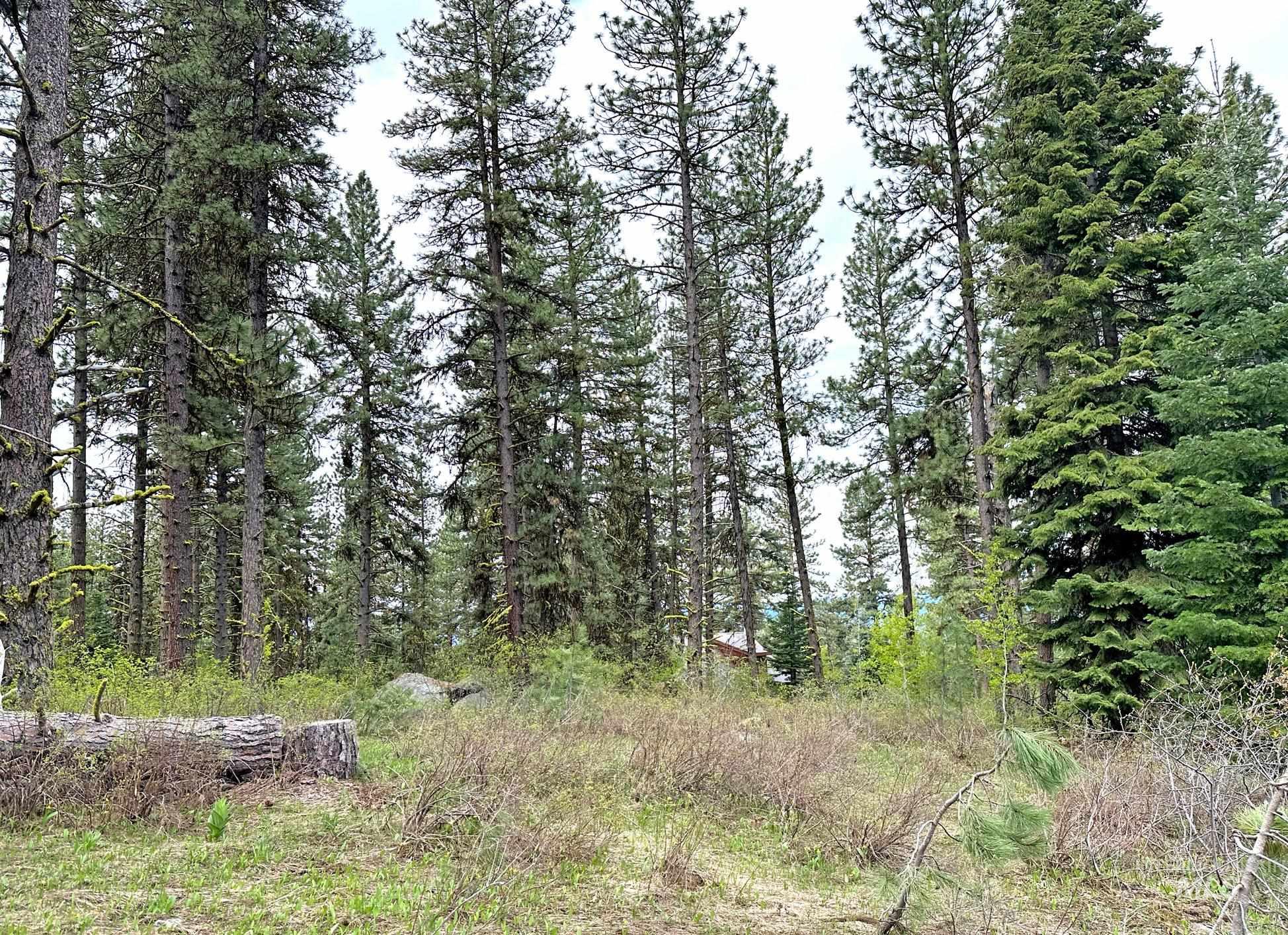TBD 2 Elo Road, McCall, Idaho 83638, Land For Sale, Price $325,000, 98935491