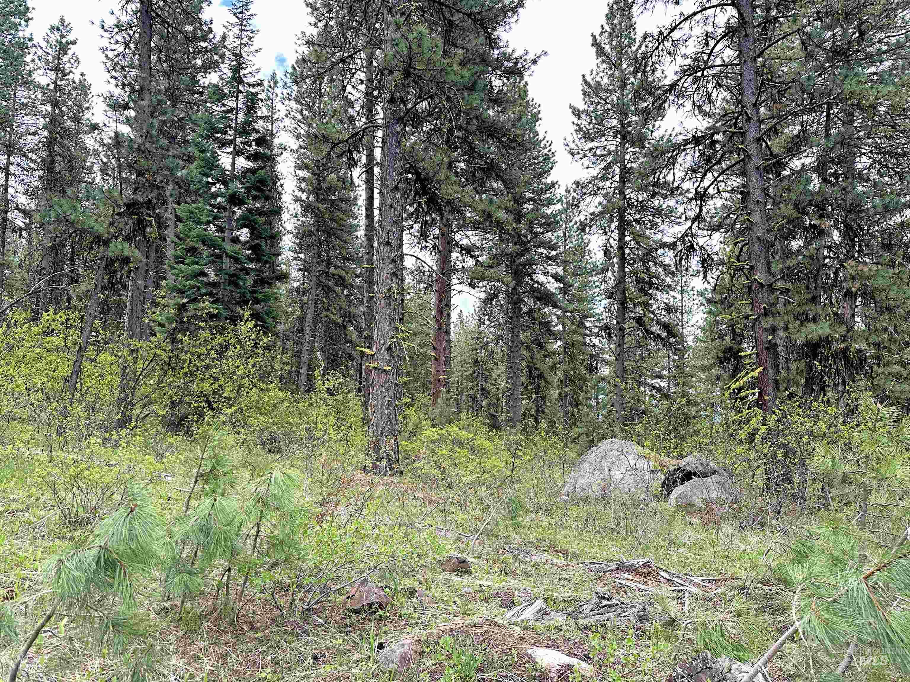 TBD 2 Elo Road, McCall, Idaho 83638, Land For Sale, Price $325,000, 98935491