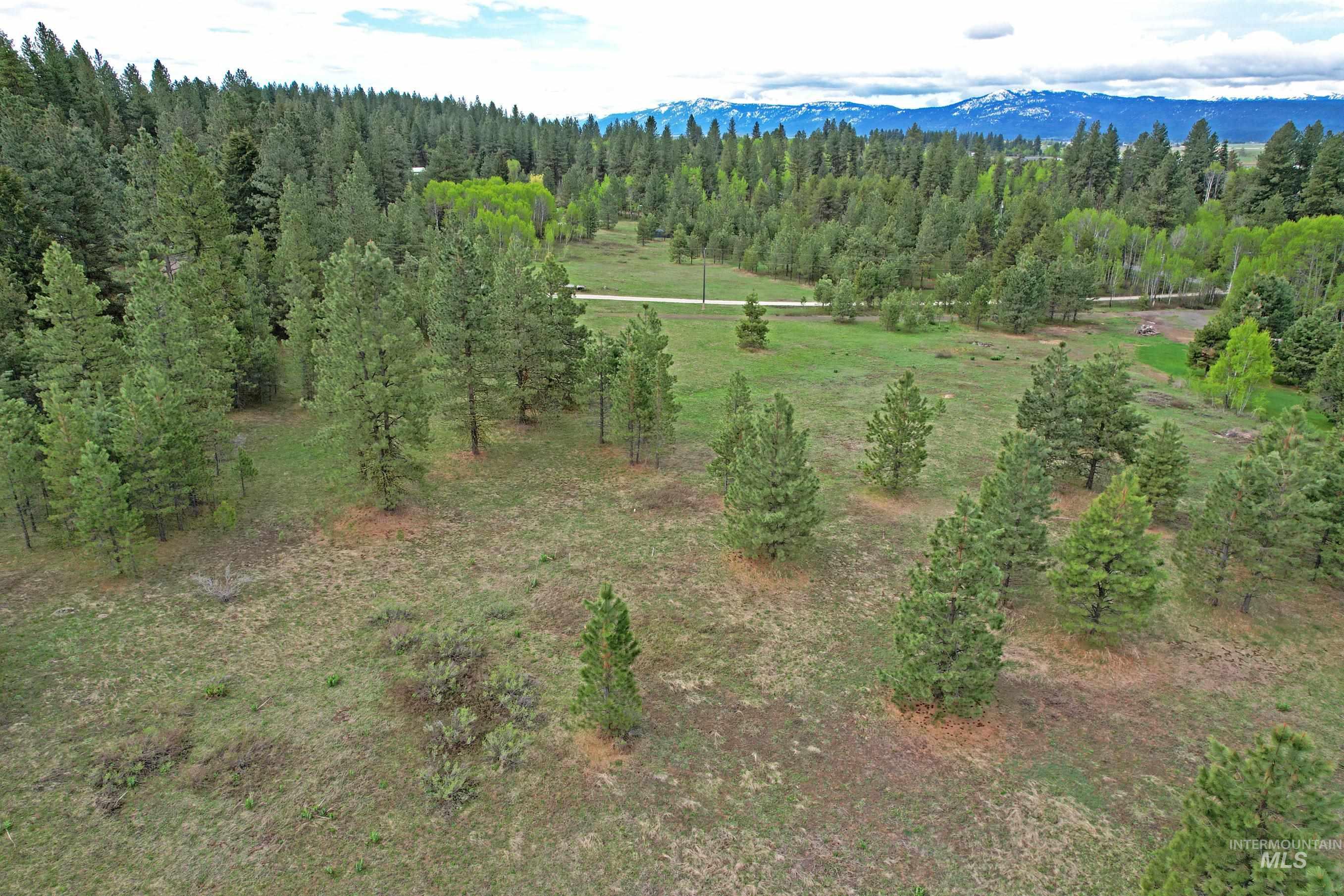 TBD 5 Elo Road, McCall, Idaho 83638, Land For Sale, Price $495,000, 98935492