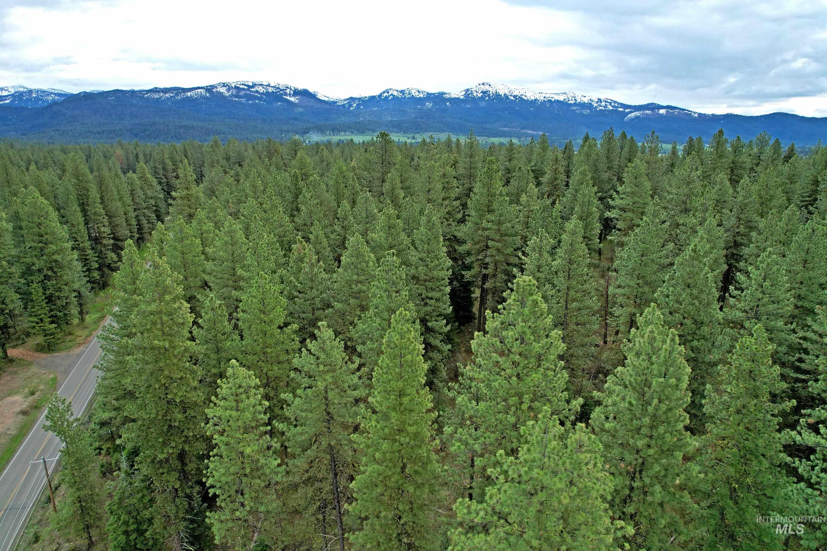 TBD 5 Elo Road, McCall, Idaho 83638, Land For Sale, Price $495,000, 98935492