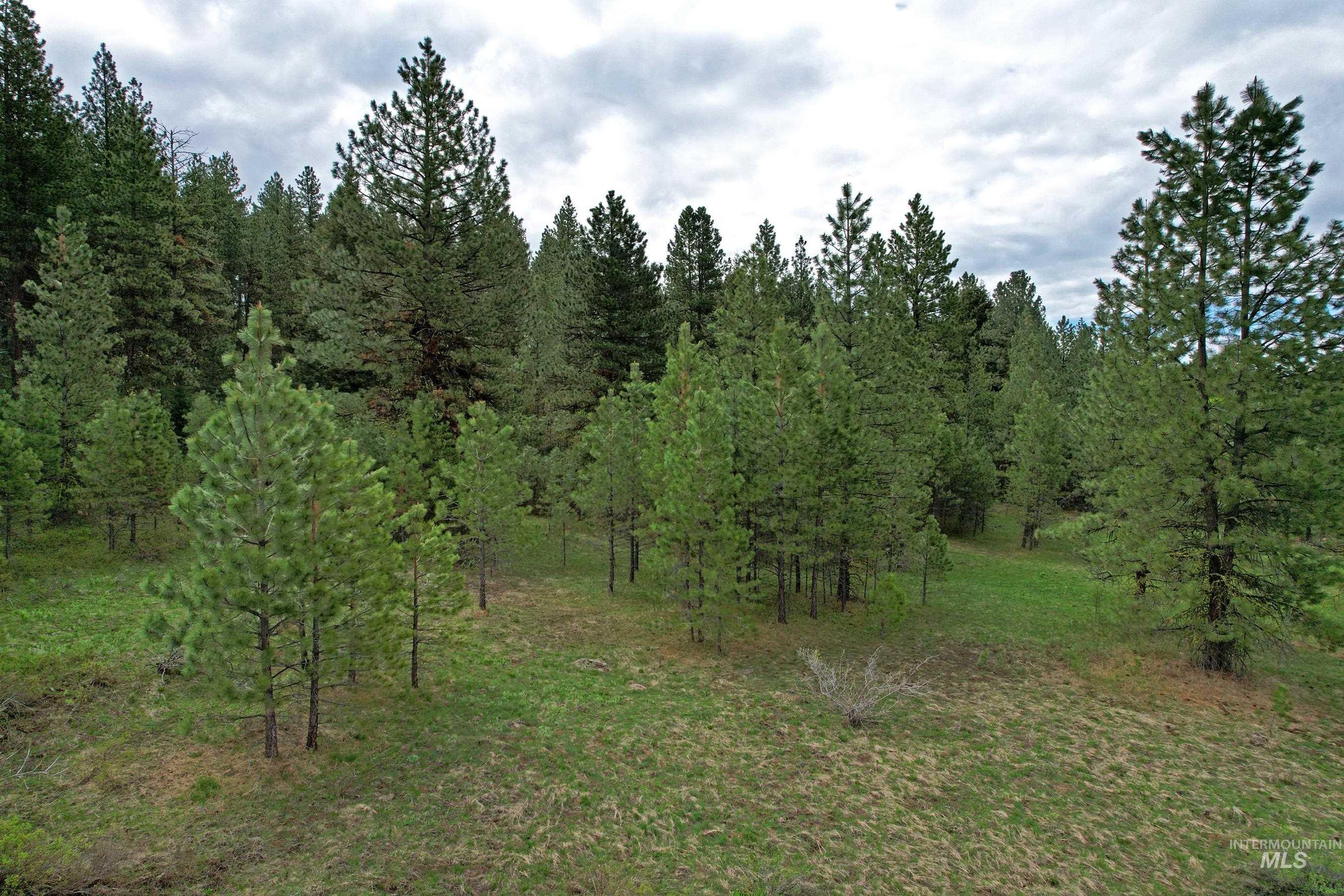 TBD 5 Elo Road, McCall, Idaho 83638, Land For Sale, Price $495,000, 98935492