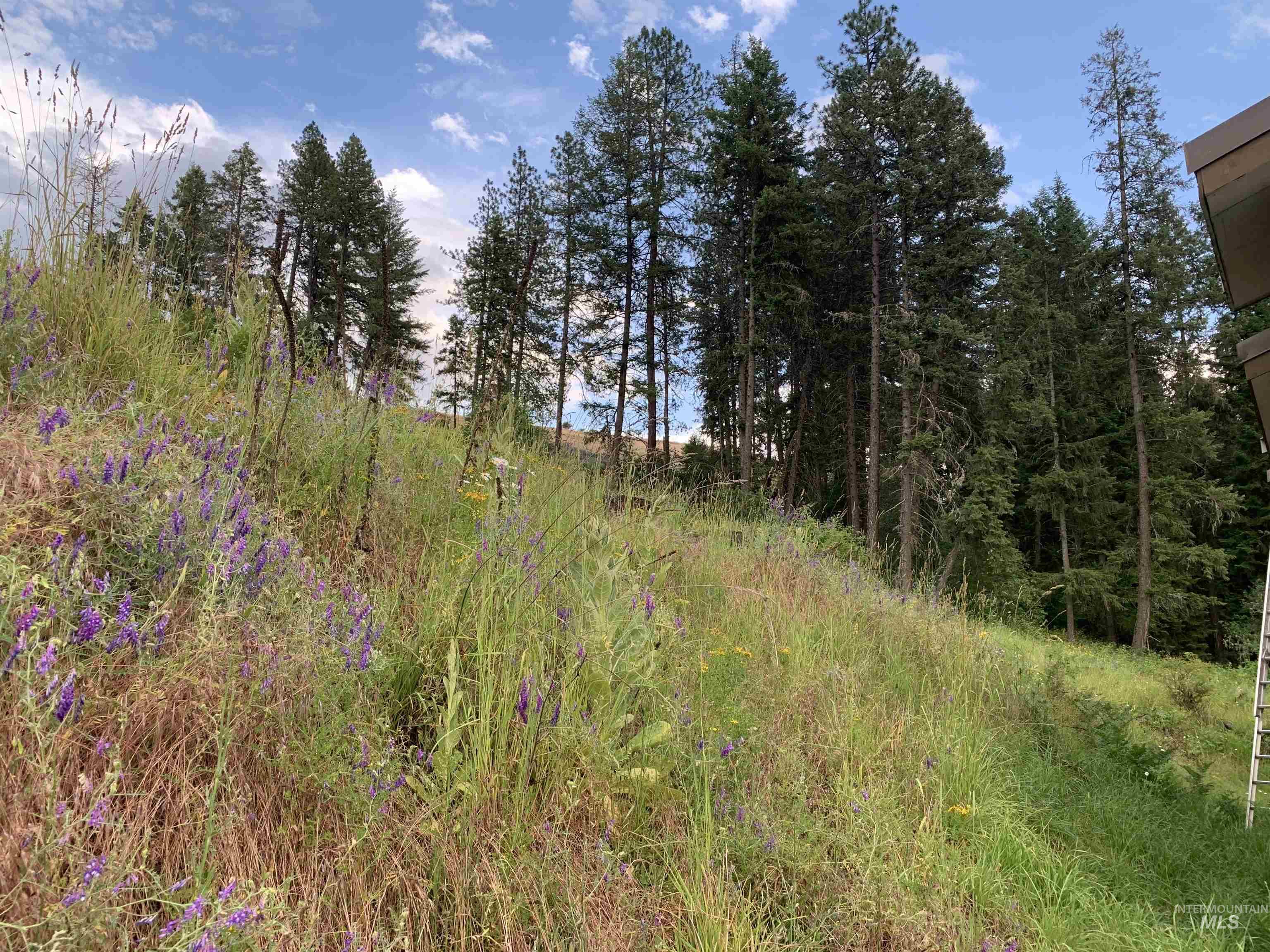 624 Clear Creek Road, Kooskia, Idaho 83539, 4 Bedrooms, 2 Bathrooms, Residential For Sale, Price $325,000, 98935535