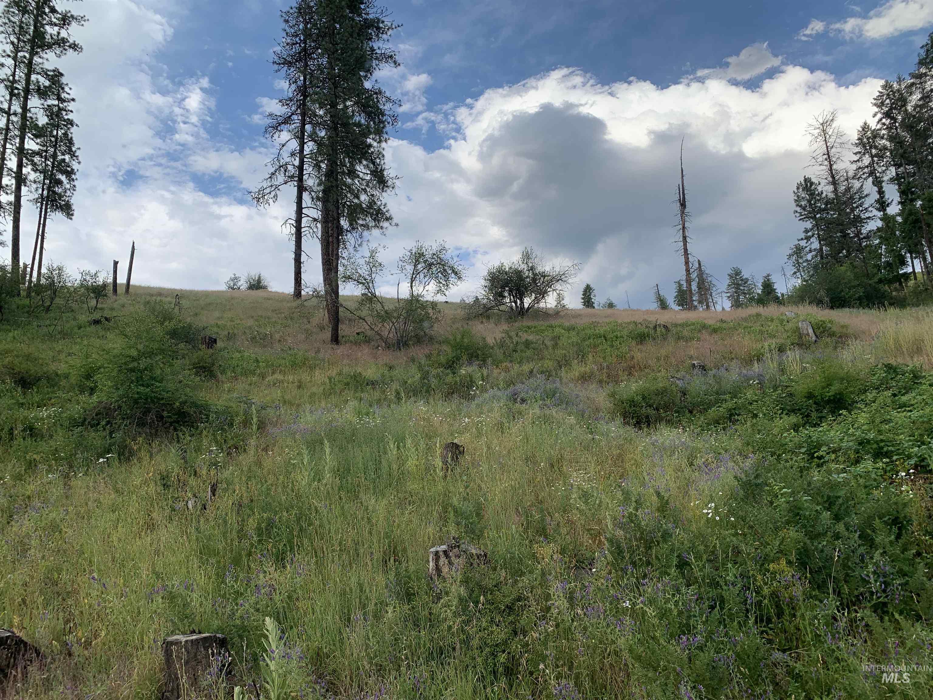 624 Clear Creek Road, Kooskia, Idaho 83539, 4 Bedrooms, 2 Bathrooms, Residential For Sale, Price $325,000, 98935535