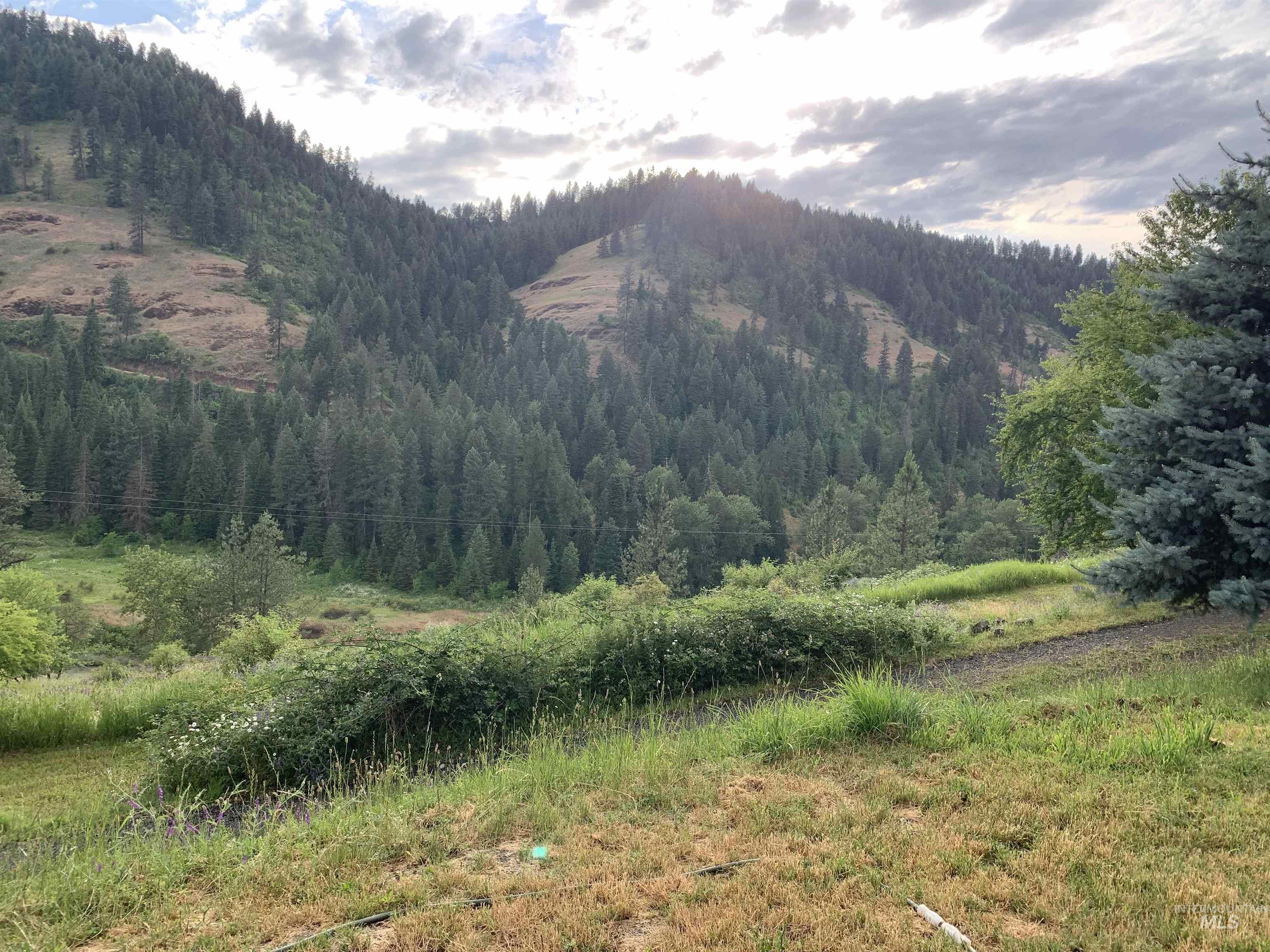 624 Clear Creek Road, Kooskia, Idaho 83539, 4 Bedrooms, 2 Bathrooms, Residential For Sale, Price $325,000, 98935535