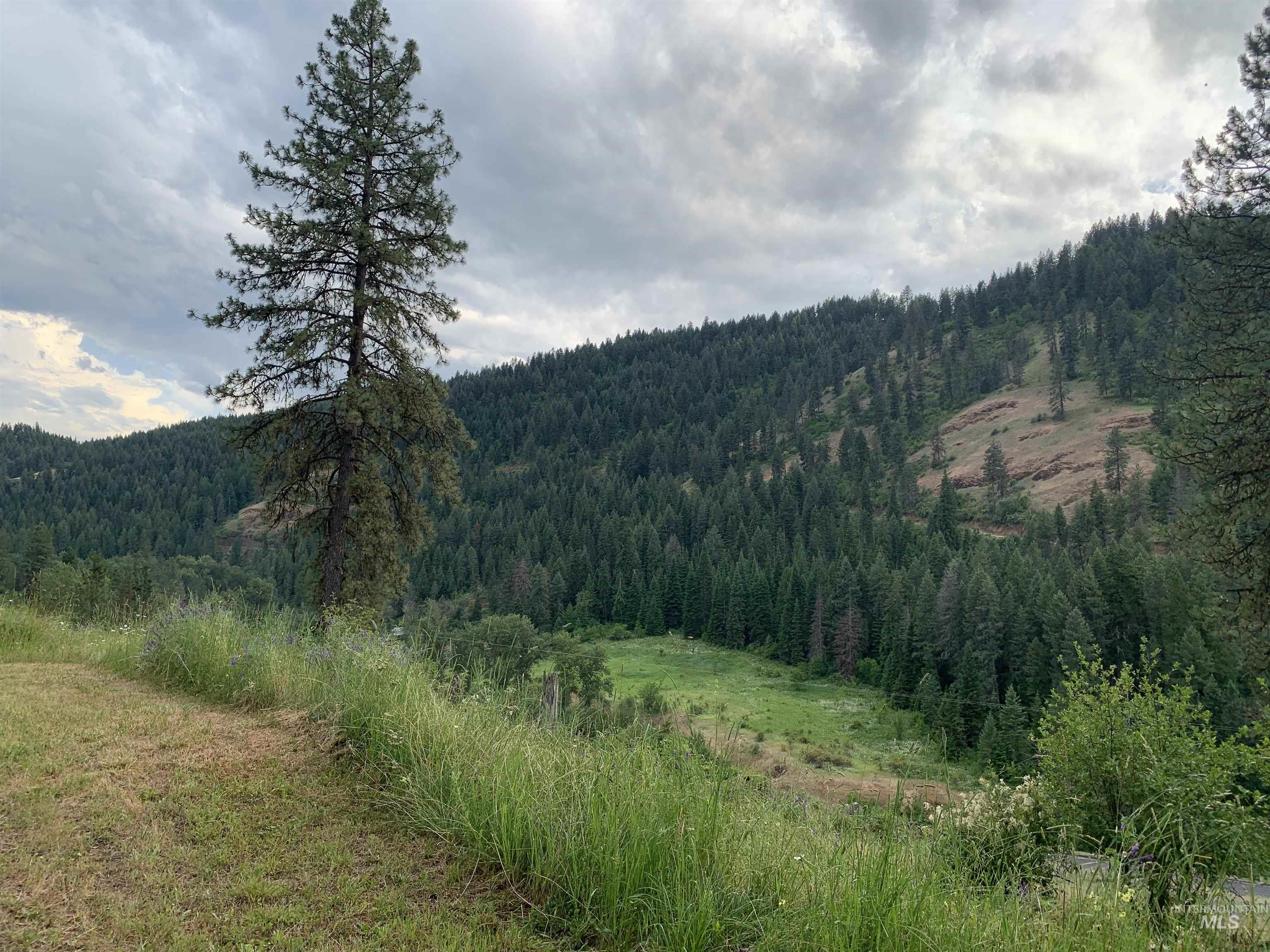624 Clear Creek Road, Kooskia, Idaho 83539, 4 Bedrooms, 2 Bathrooms, Residential For Sale, Price $325,000, 98935535