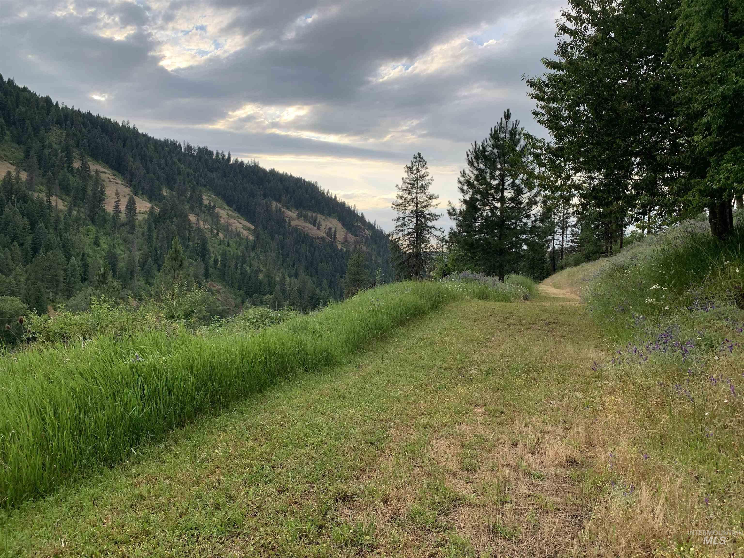 624 Clear Creek Road, Kooskia, Idaho 83539, 4 Bedrooms, 2 Bathrooms, Residential For Sale, Price $325,000, 98935535