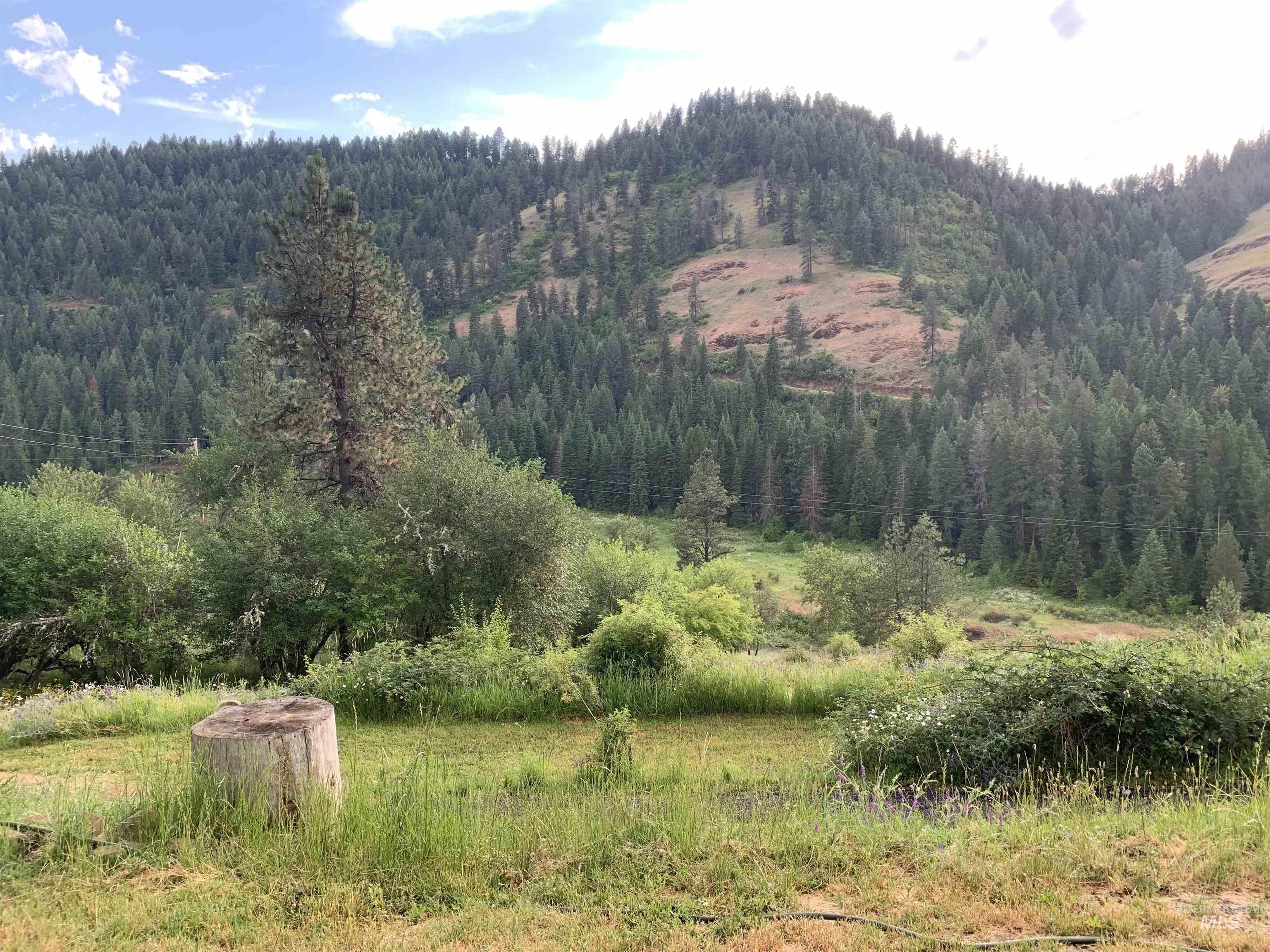 624 Clear Creek Road, Kooskia, Idaho 83539, 4 Bedrooms, 2 Bathrooms, Residential For Sale, Price $325,000, 98935535