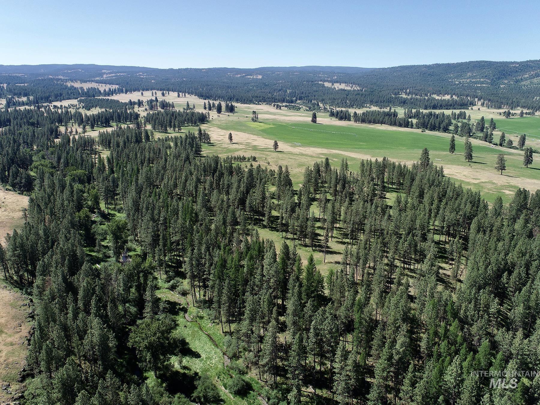 55959 Hwy. 244, La Grande, Oregon 97850, 3 Bedrooms, 2.5 Bathrooms, Farm & Ranch For Sale, Price $9,950,000, 98935736