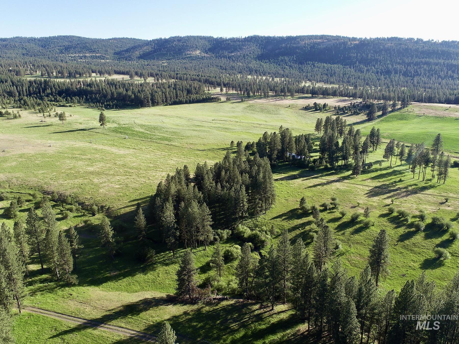 55959 Hwy. 244, La Grande, Oregon 97850, 3 Bedrooms, 2.5 Bathrooms, Farm & Ranch For Sale, Price $9,950,000, 98935736