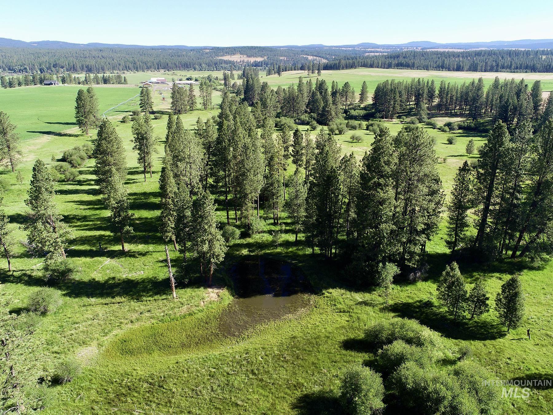 55959 Hwy. 244, La Grande, Oregon 97850, 3 Bedrooms, 2.5 Bathrooms, Farm & Ranch For Sale, Price $9,950,000, 98935736
