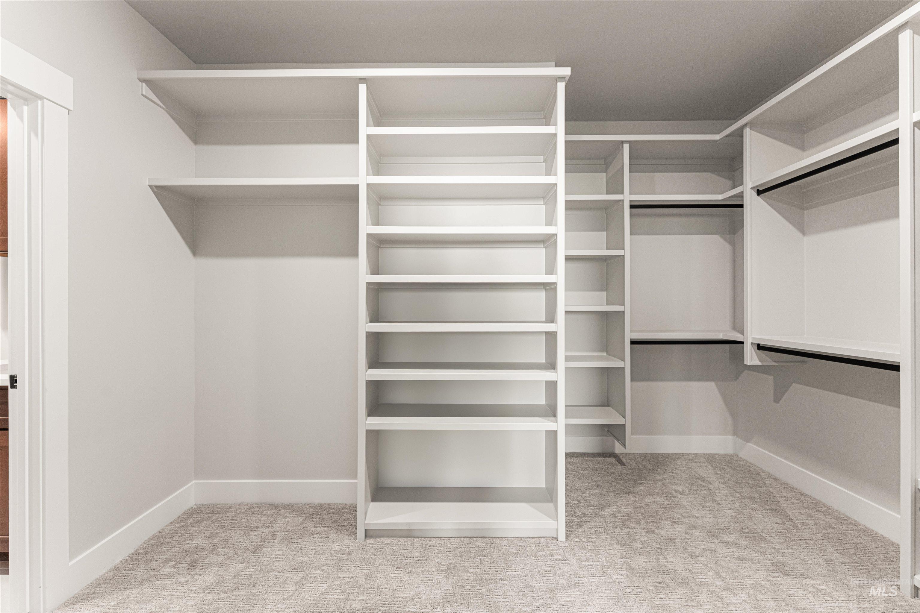 Spacious closet featuring carpet