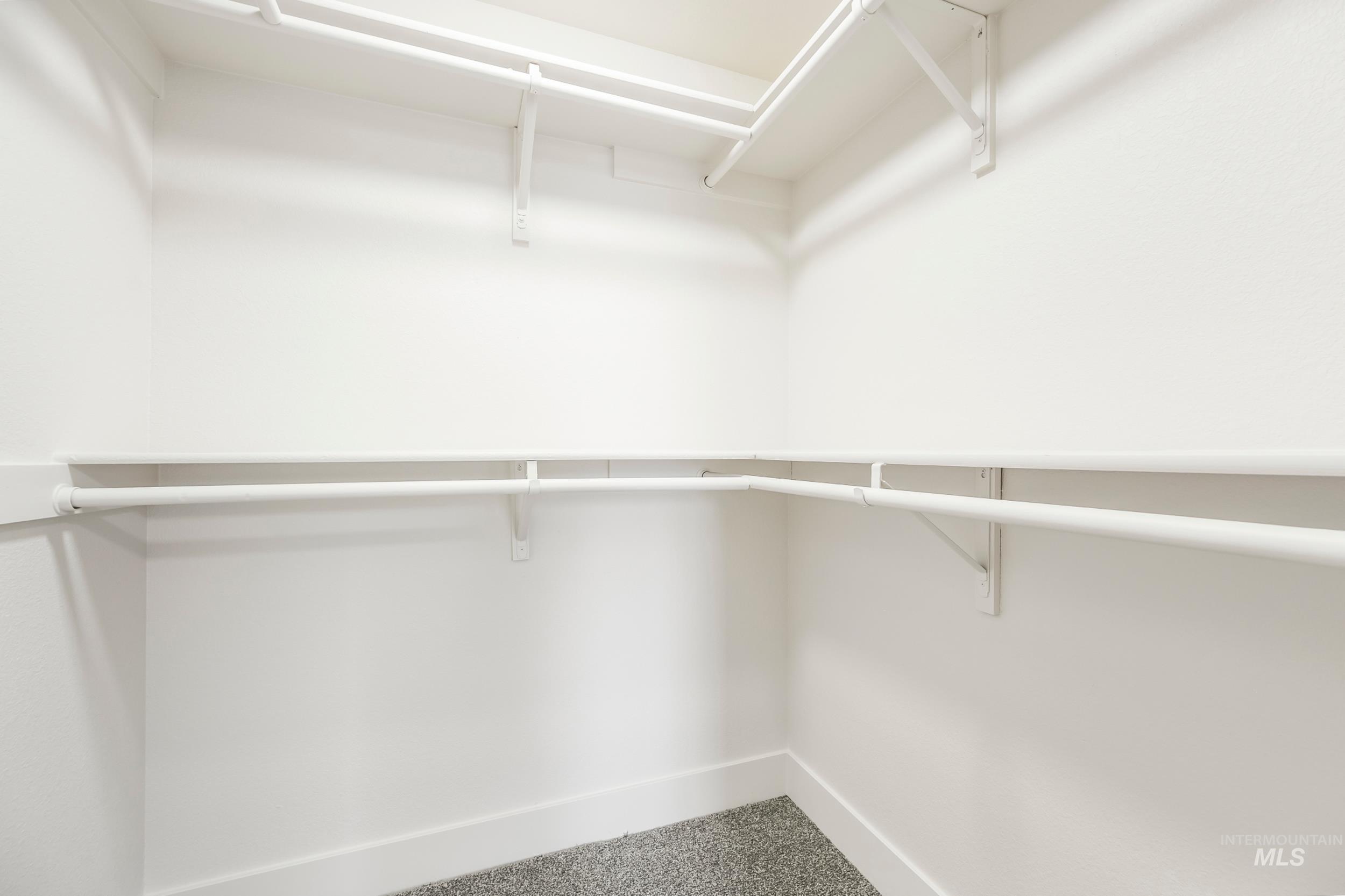 Spacious closet with carpet flooring