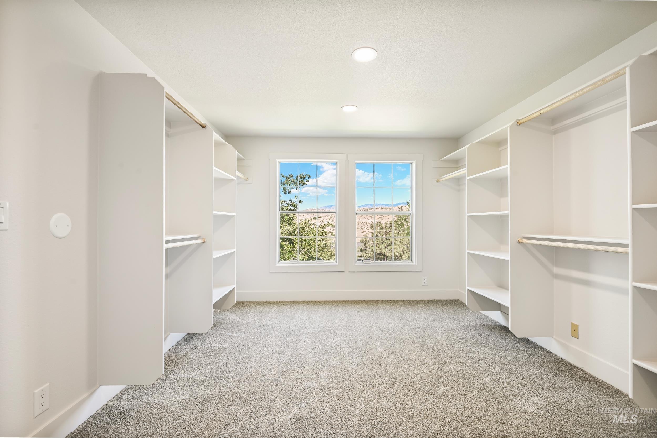 Spacious closet featuring light carpet