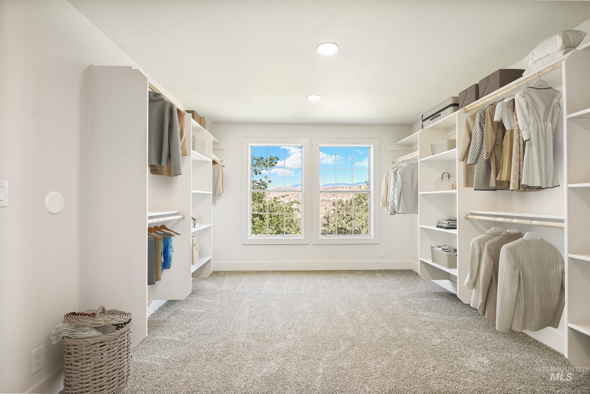 Spacious closet featuring light carpet