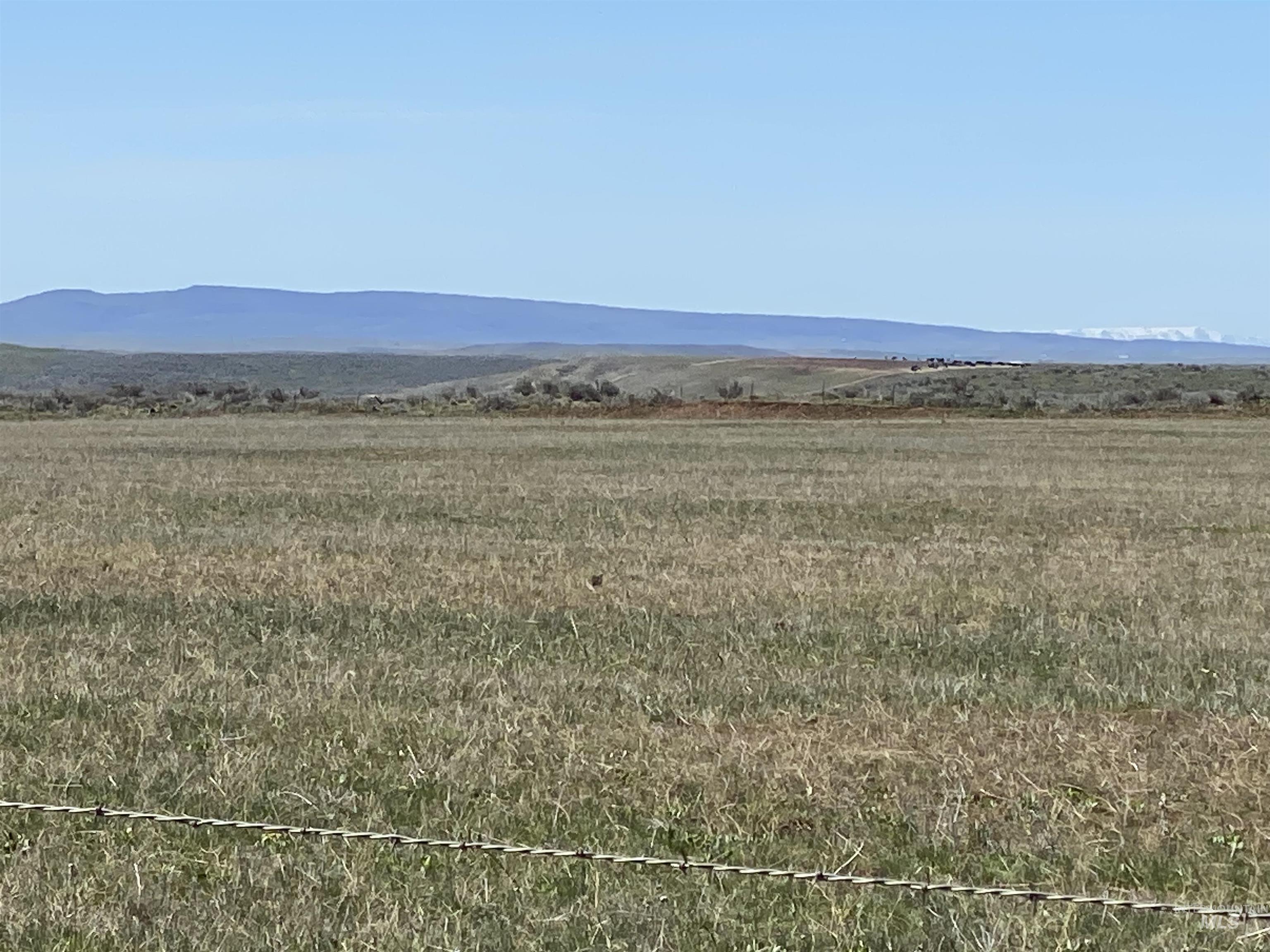 TBD Indian Valley RD Parcel 5, Indian Valley, Idaho 83632, Land For Sale, Price $225,000, 98936145