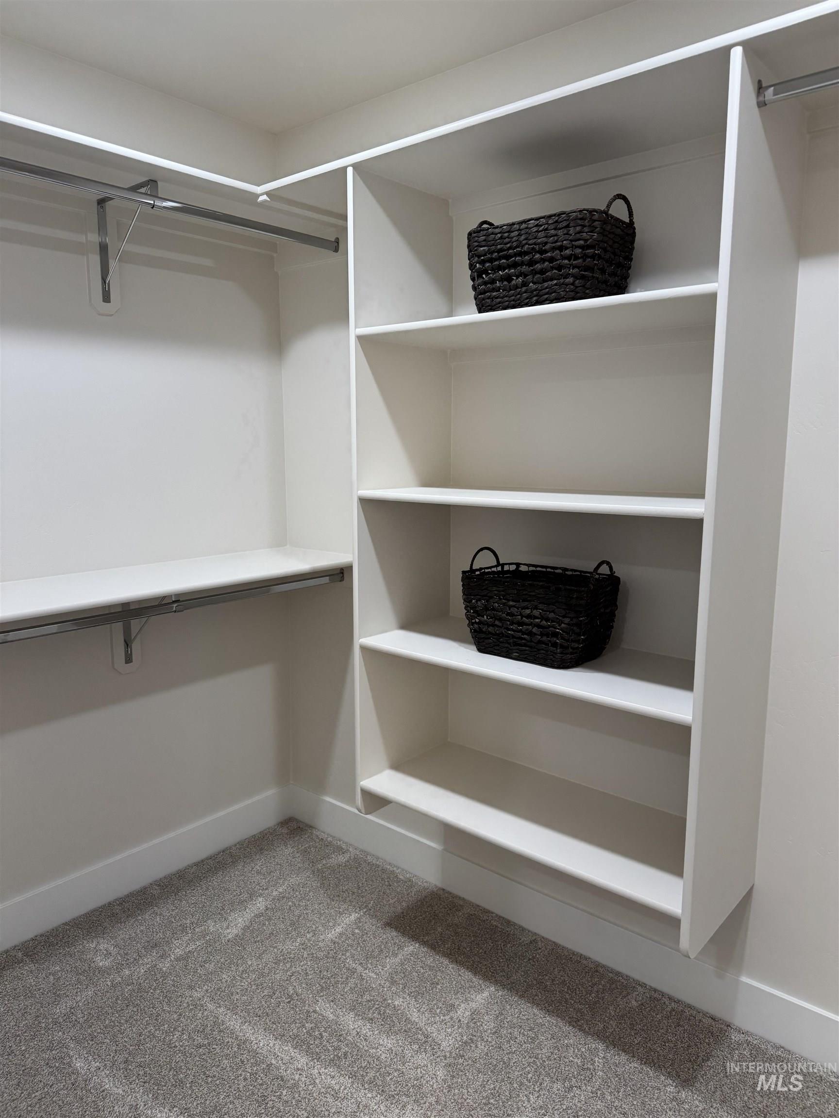 Walk in closet with carpet