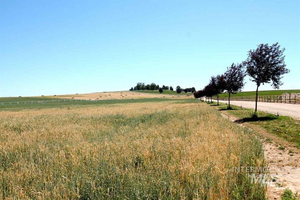 Farm & Ranch For Sale