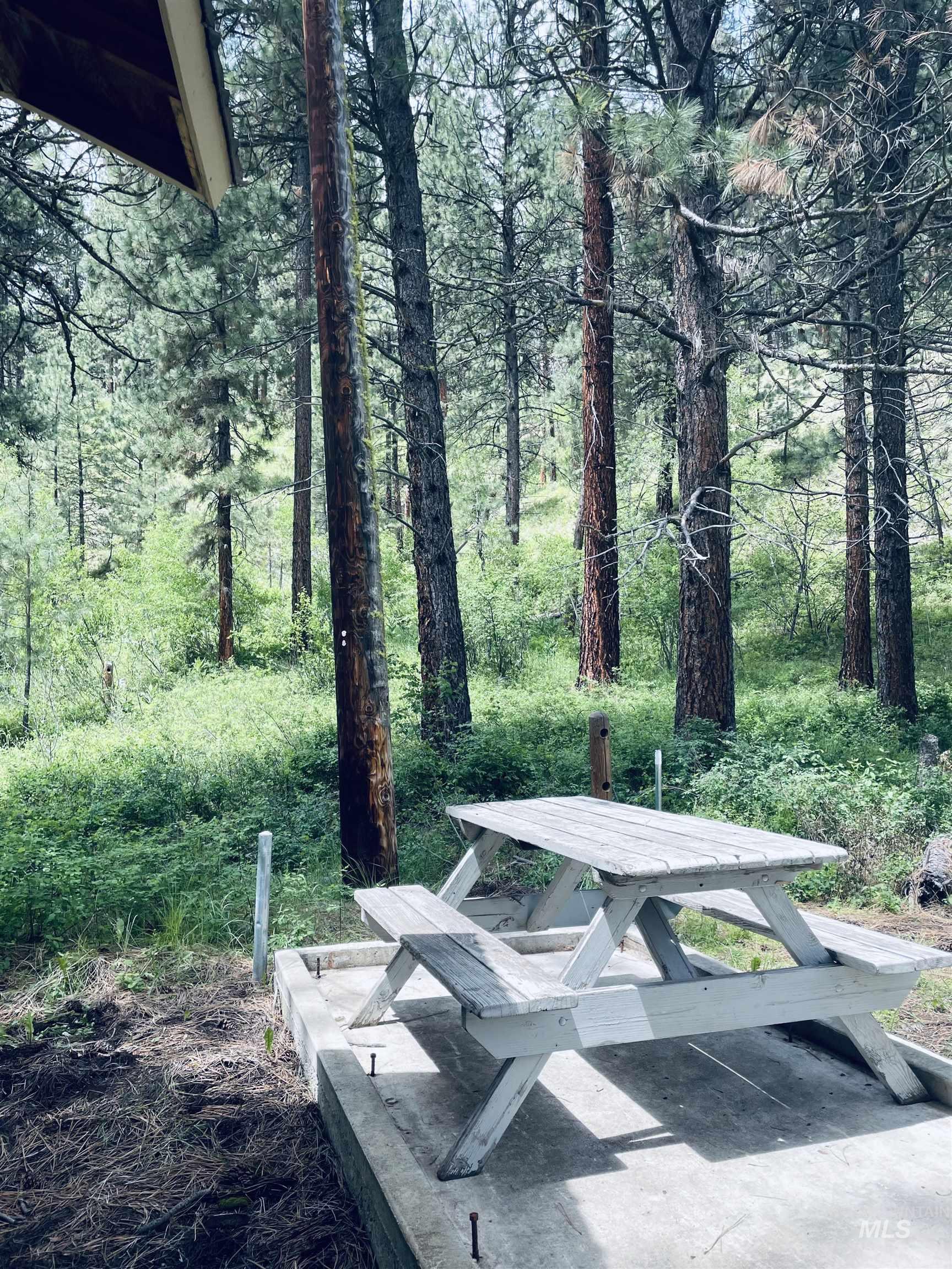 8392 Highway 21, Lowman, Idaho 83637, 4 Bedrooms, 2 Bathrooms, Residential For Sale, Price $449,900, 98936379